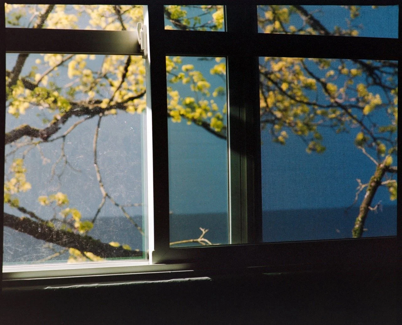 film+scans-450-Edit Large.jpeg
