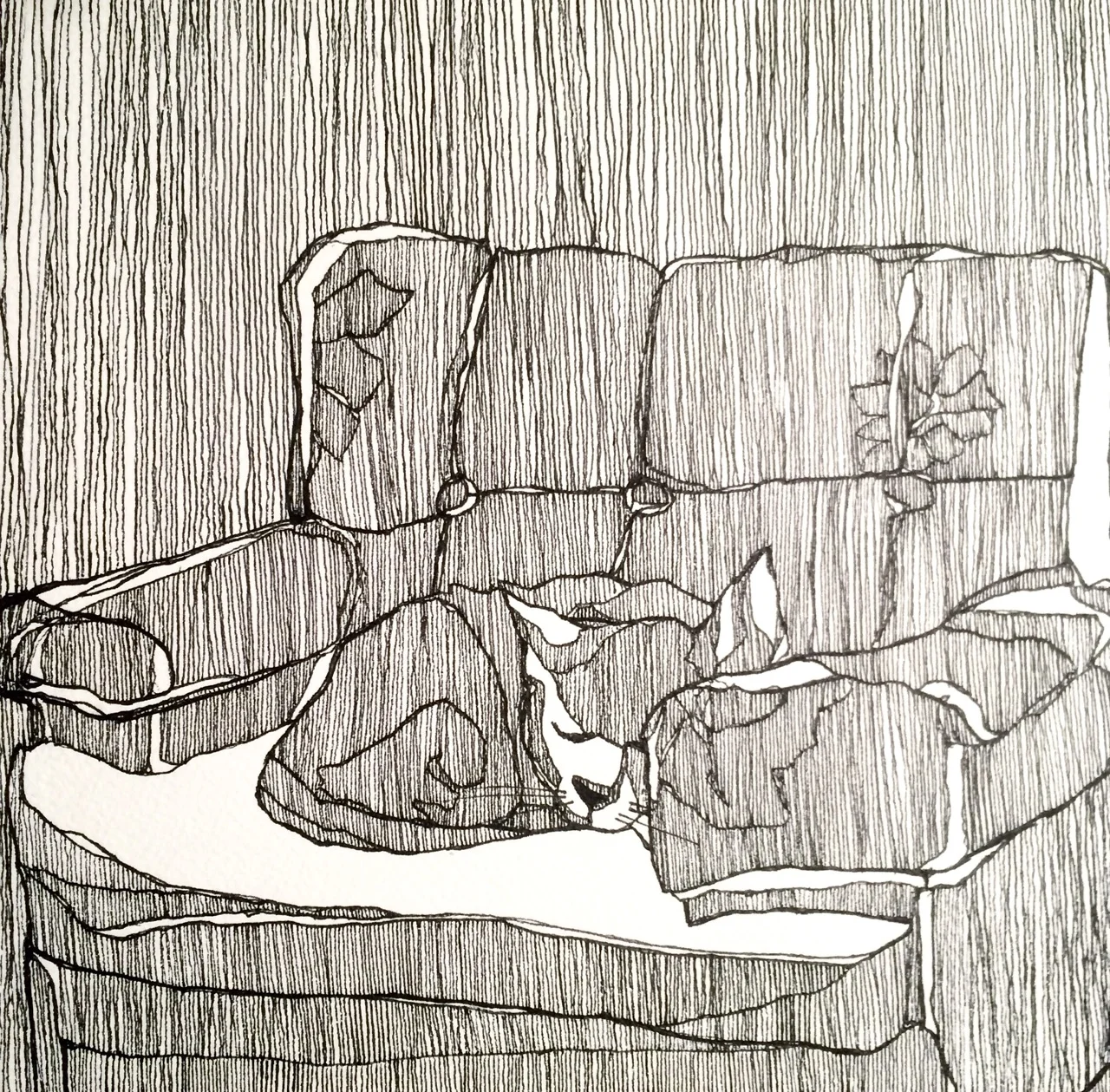 Hobbes no. 12