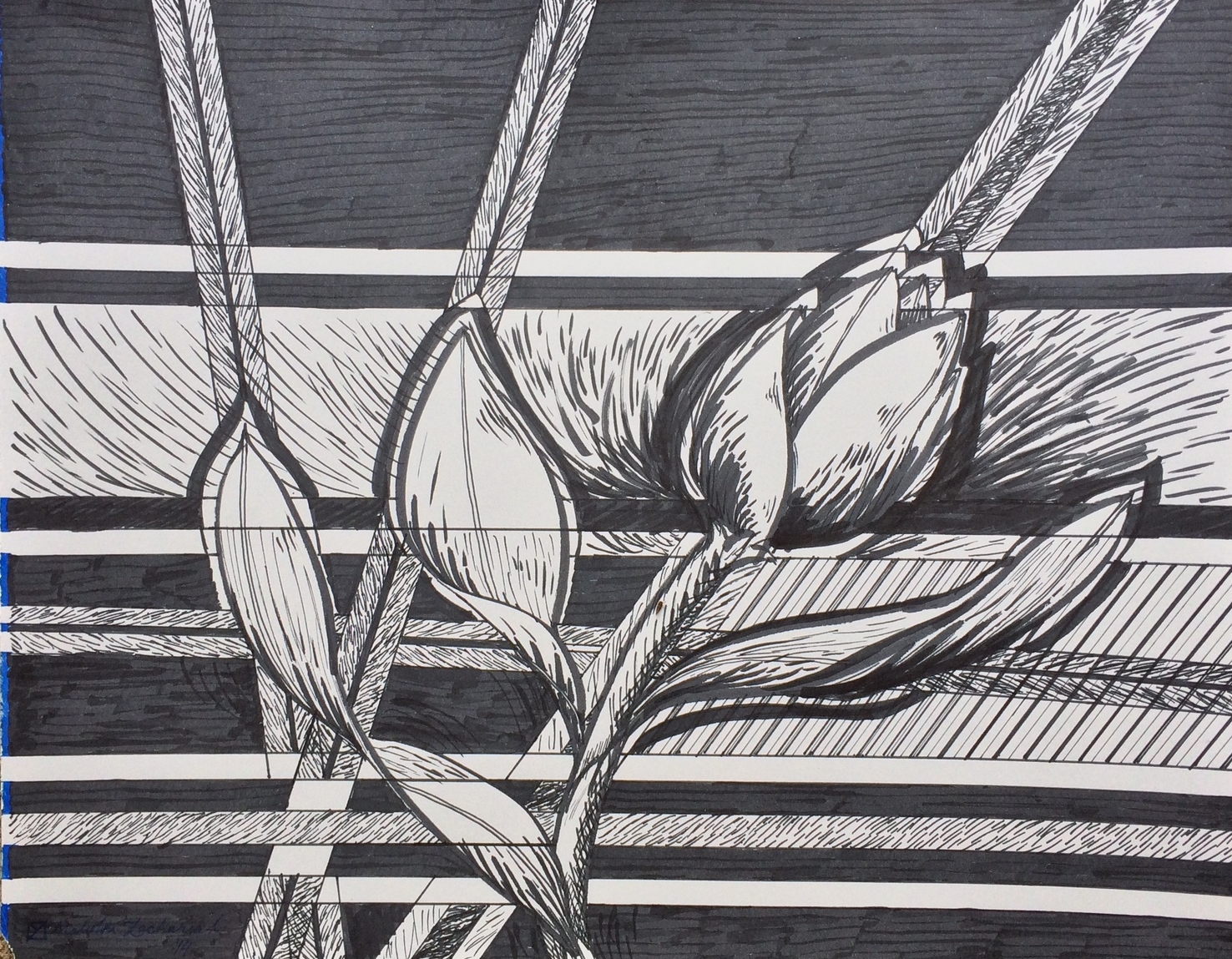 Tulpenmanie 2