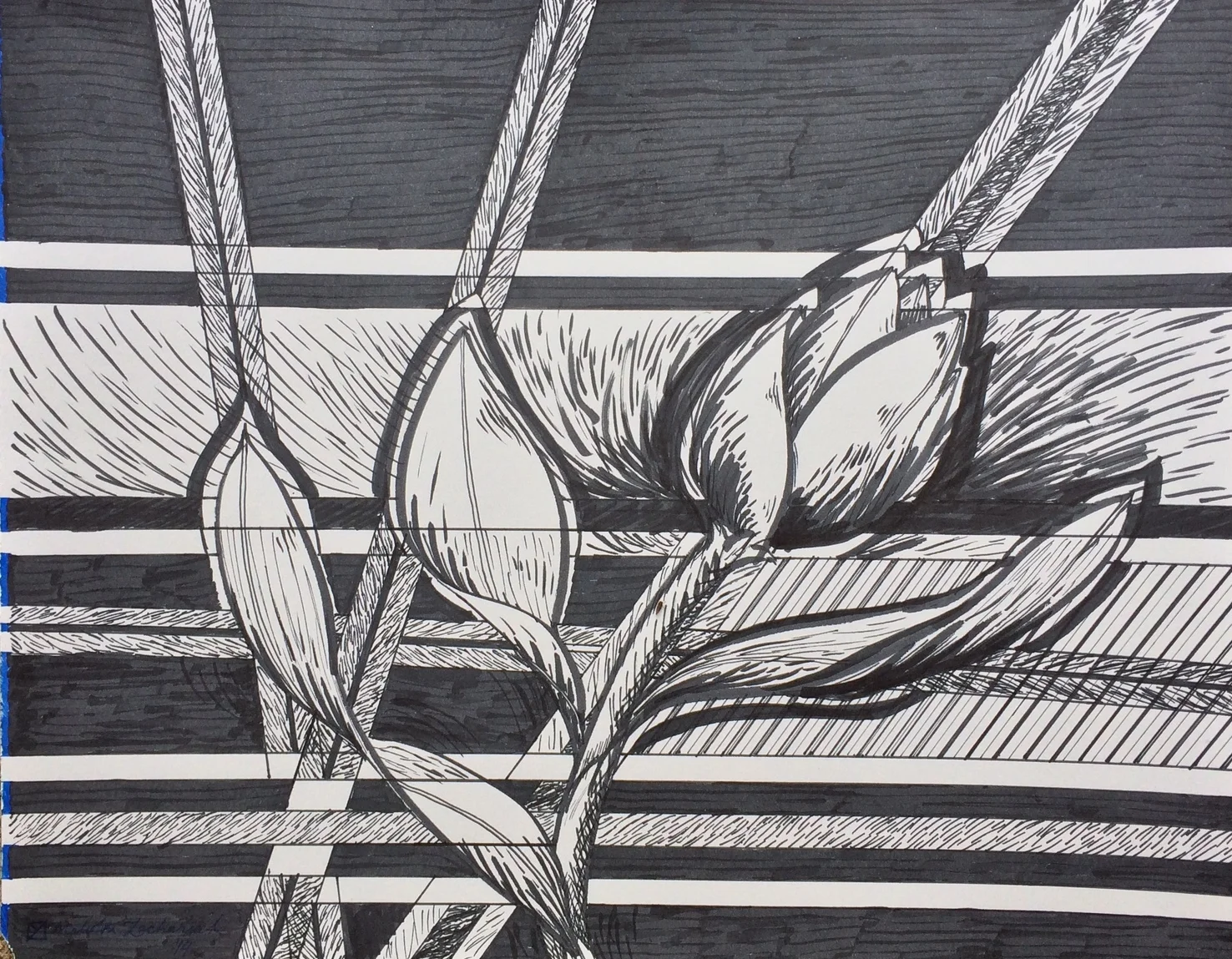 Tulpenmanie 2