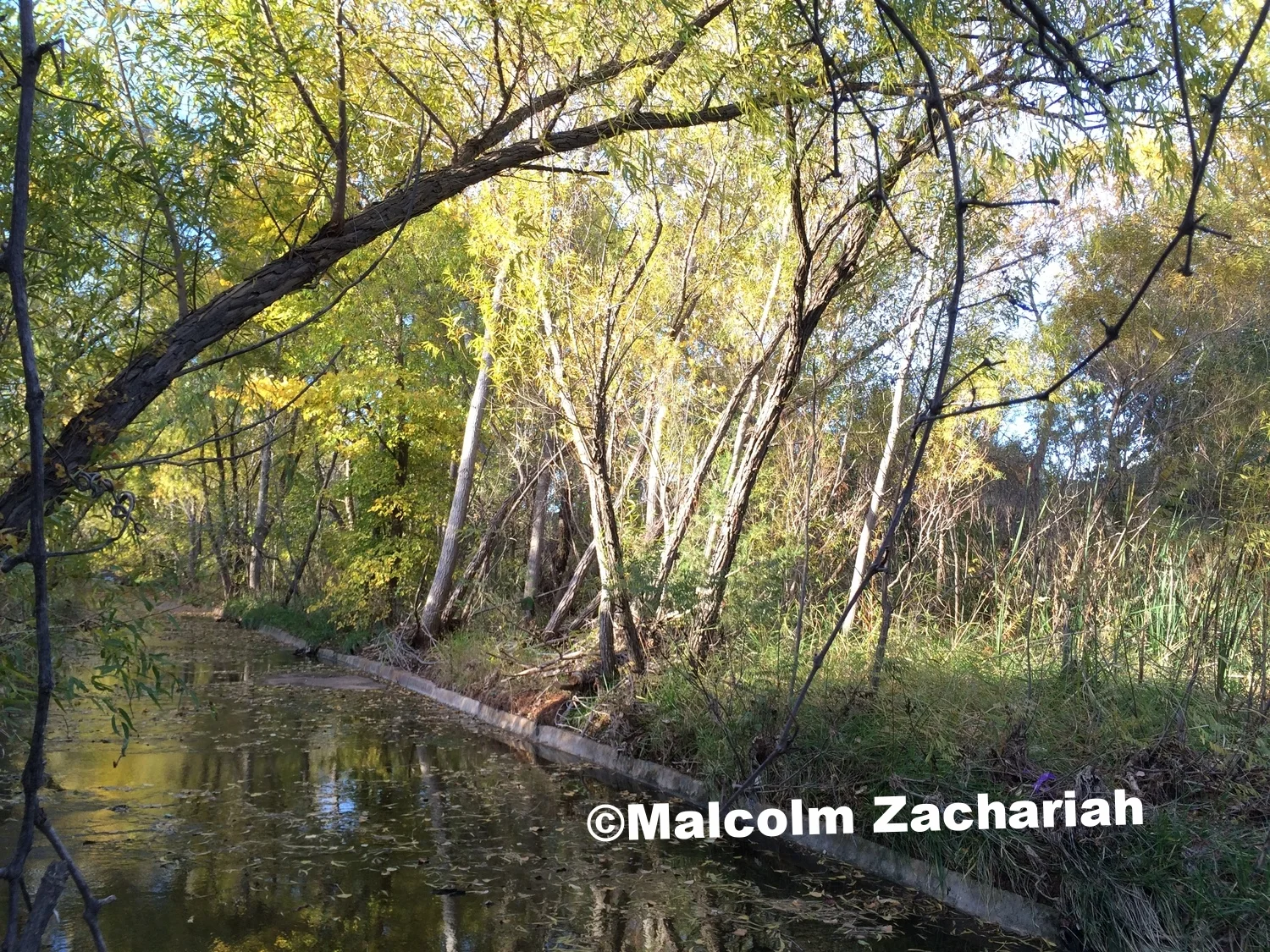 Riparian Entertainment