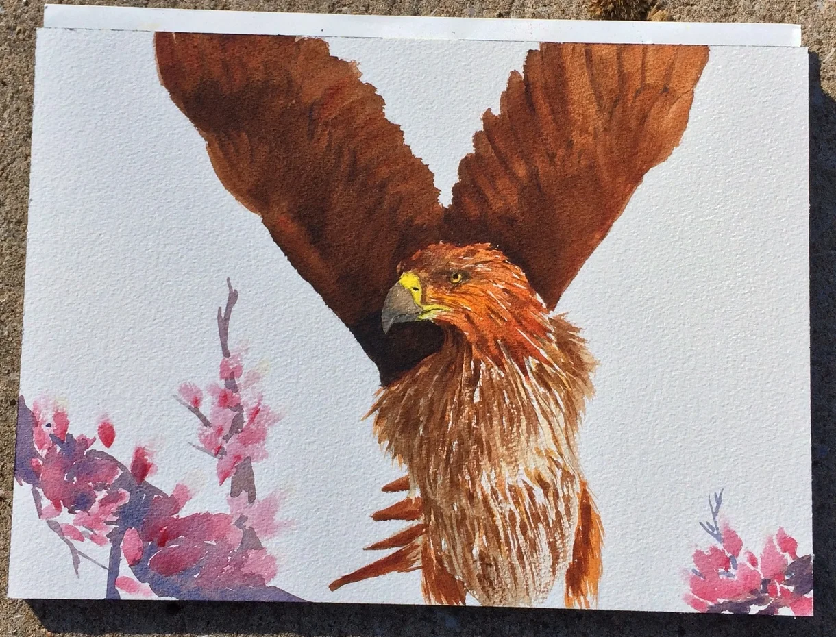 Flying High, watercolor on paper