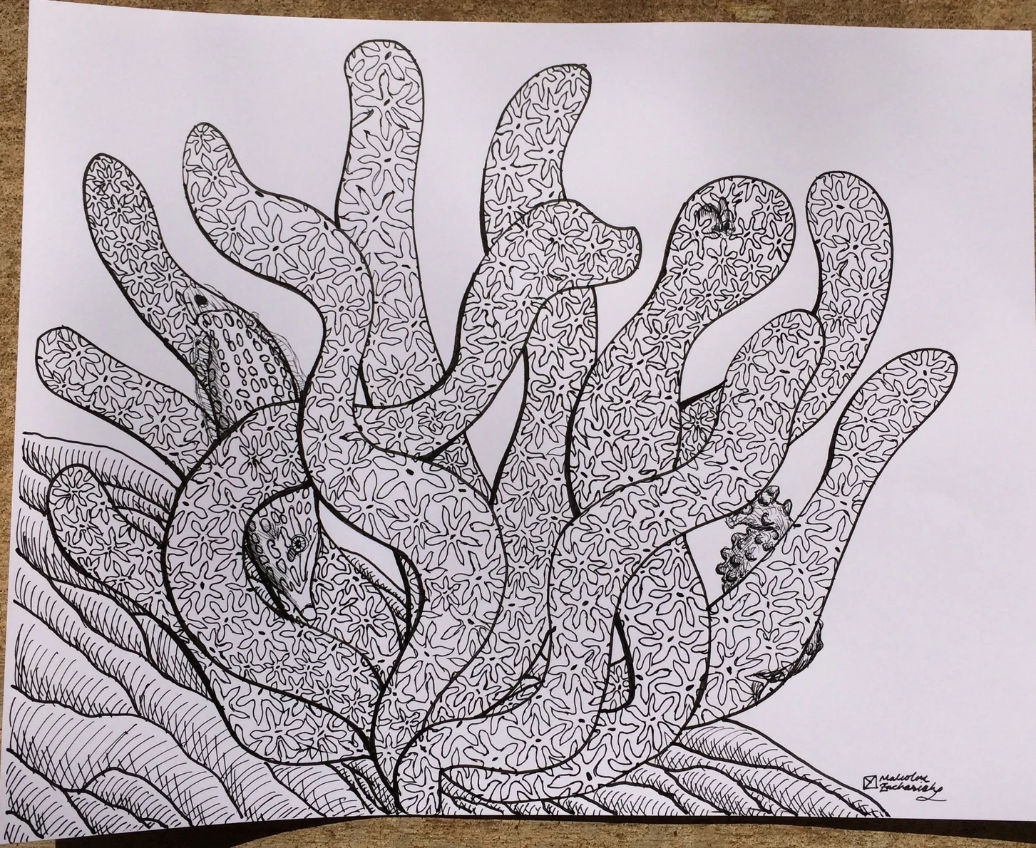 Deception - Pen on Paper 11x14"
