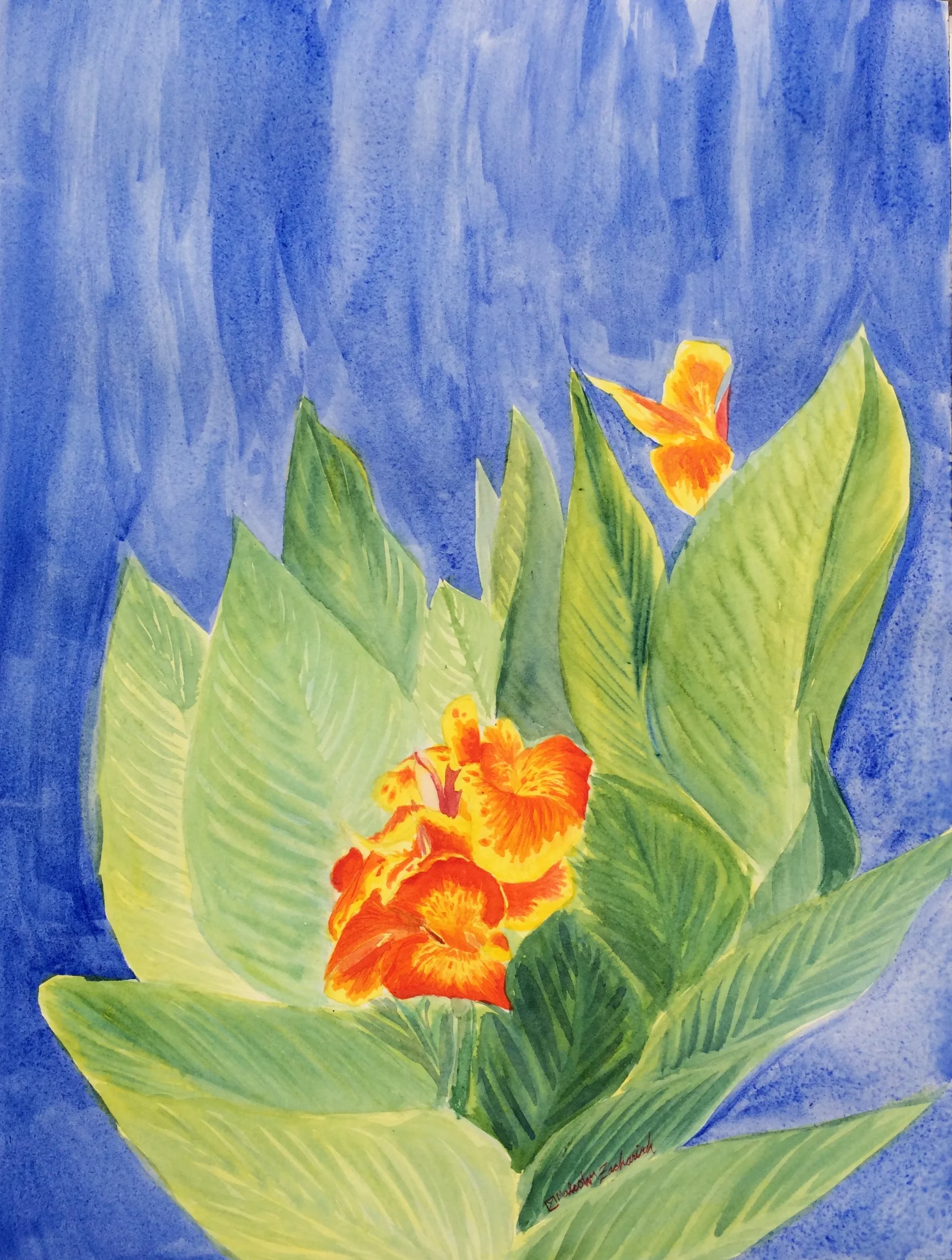 Cannas - watercolor 12x16"