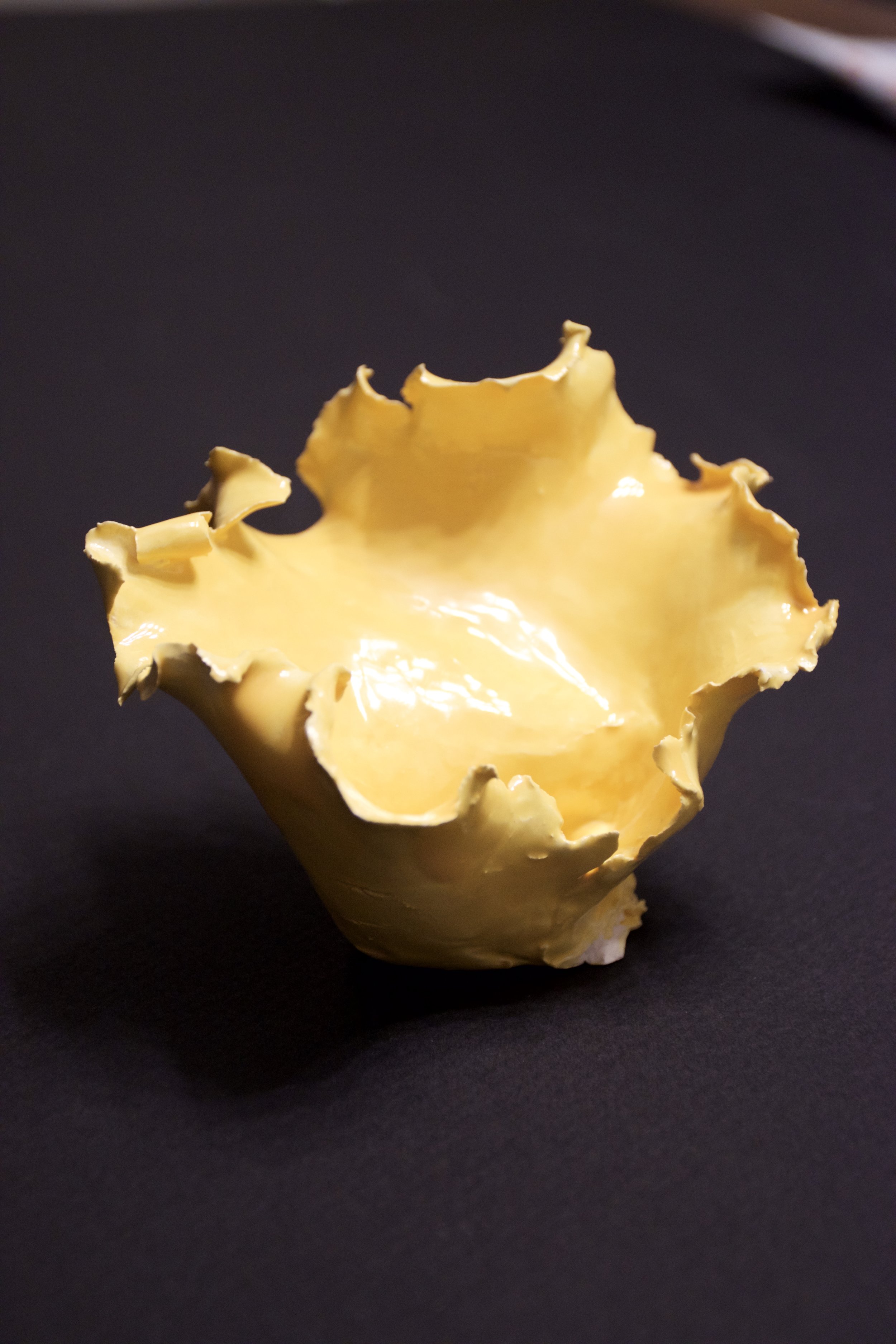Yellow Leather
