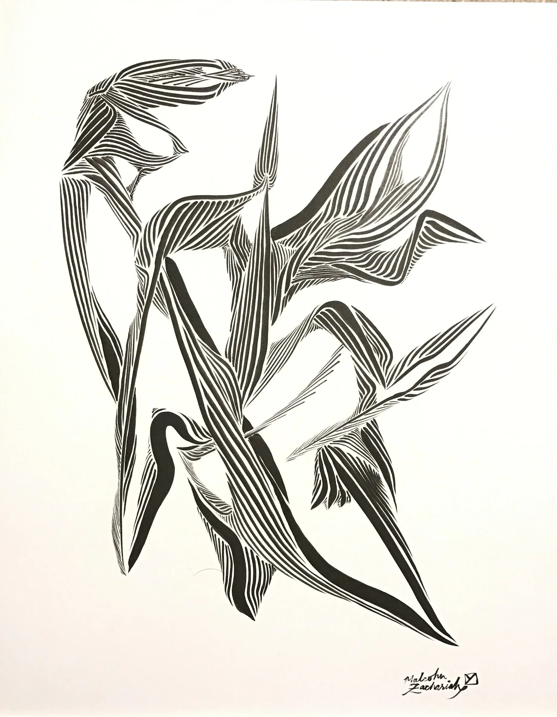 Flexion - Pen and Ink on Paper 11x14"