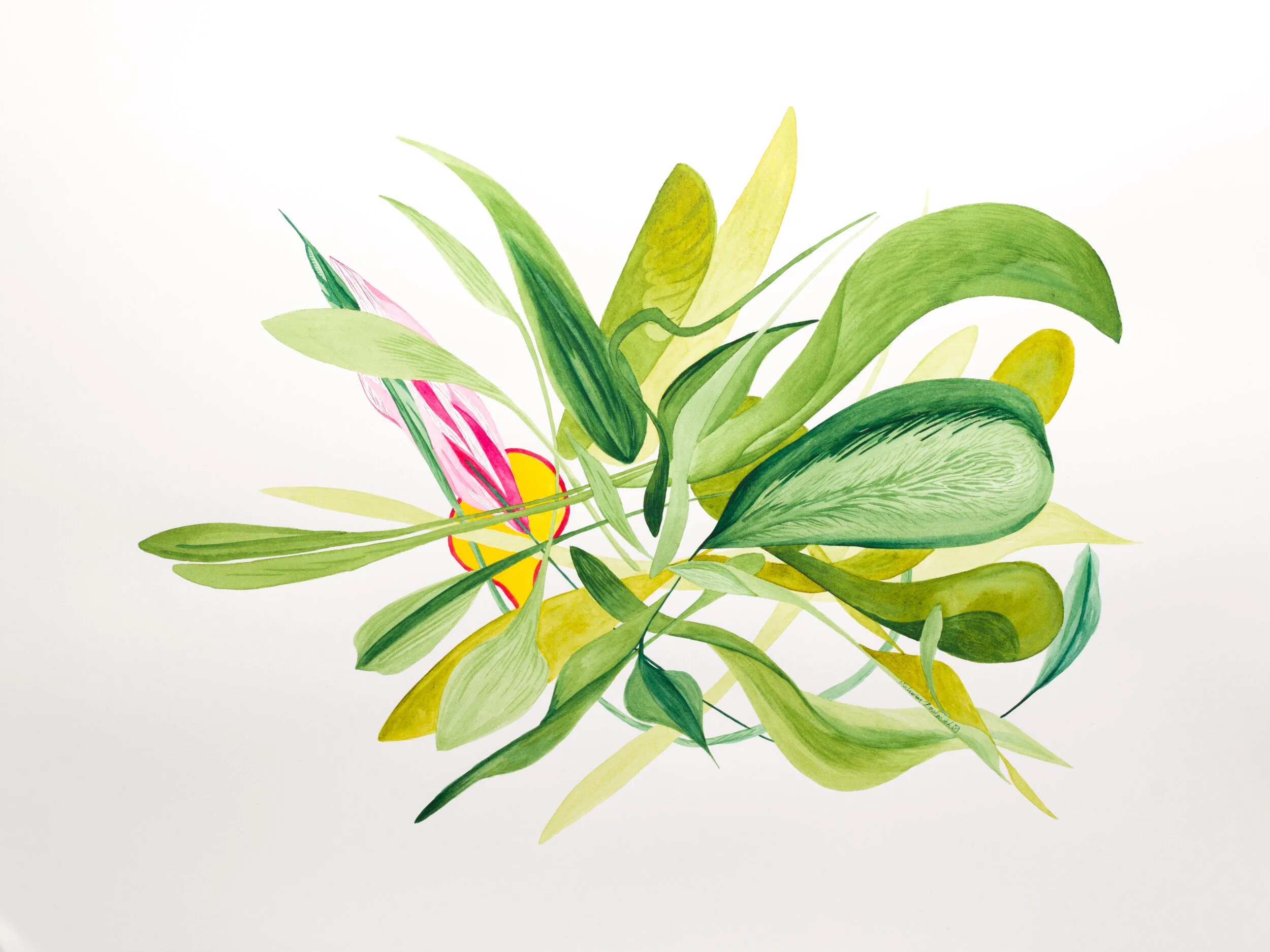 Quantum Wyrmhole Entanglement