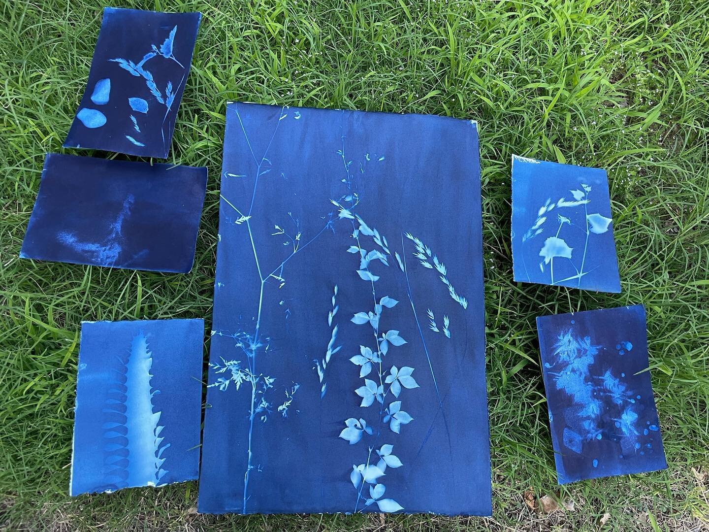 Experimental cyanotypes with art friends Emma and Fernando! Cyanotype is a slow photographic printing process, which was used historically for blueprints. The blue pigment that forms is sold as Prussian blue.  #art #cyanotype #printmaking #photograph