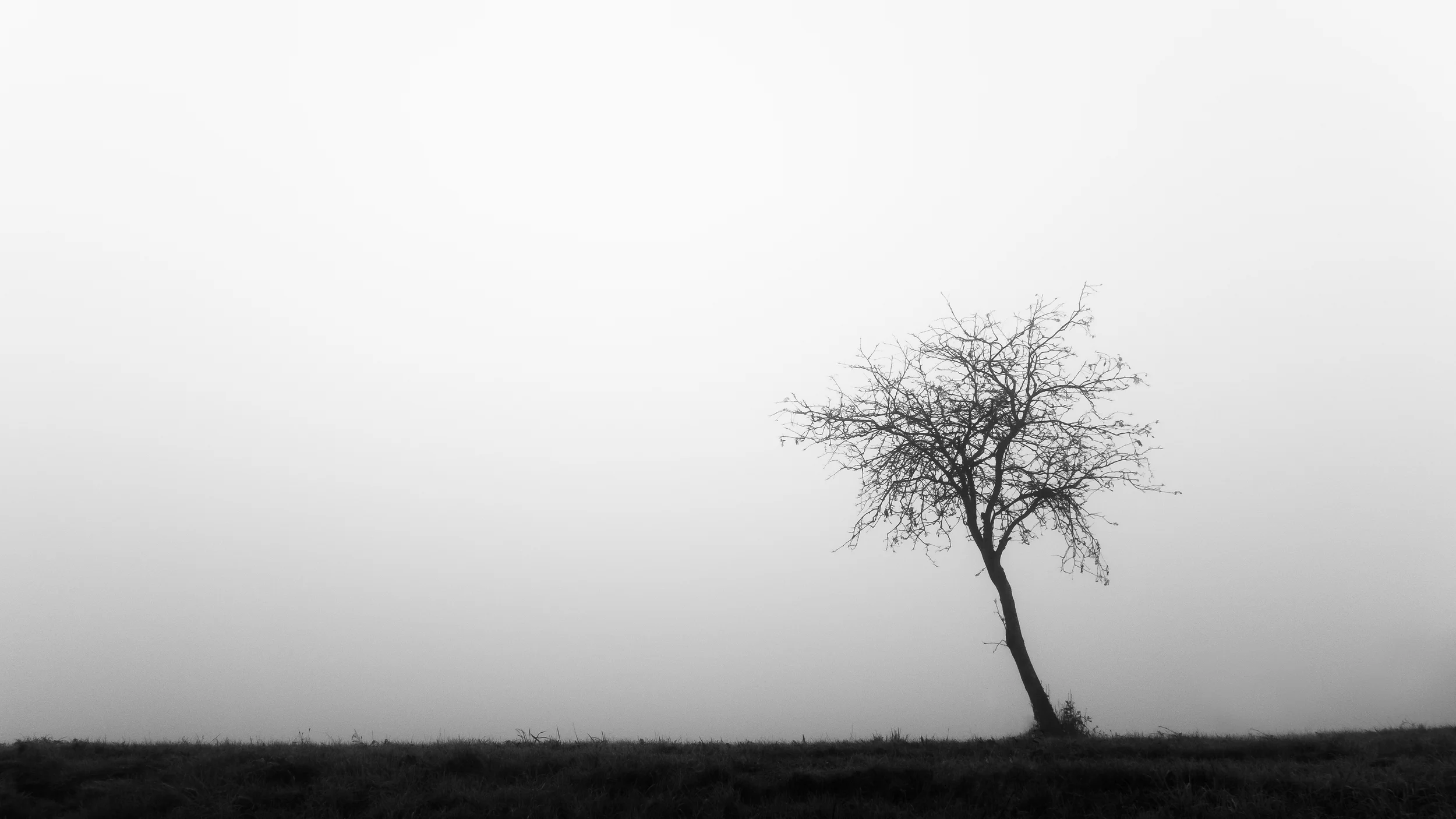 Dohren / Felsen, Emsland