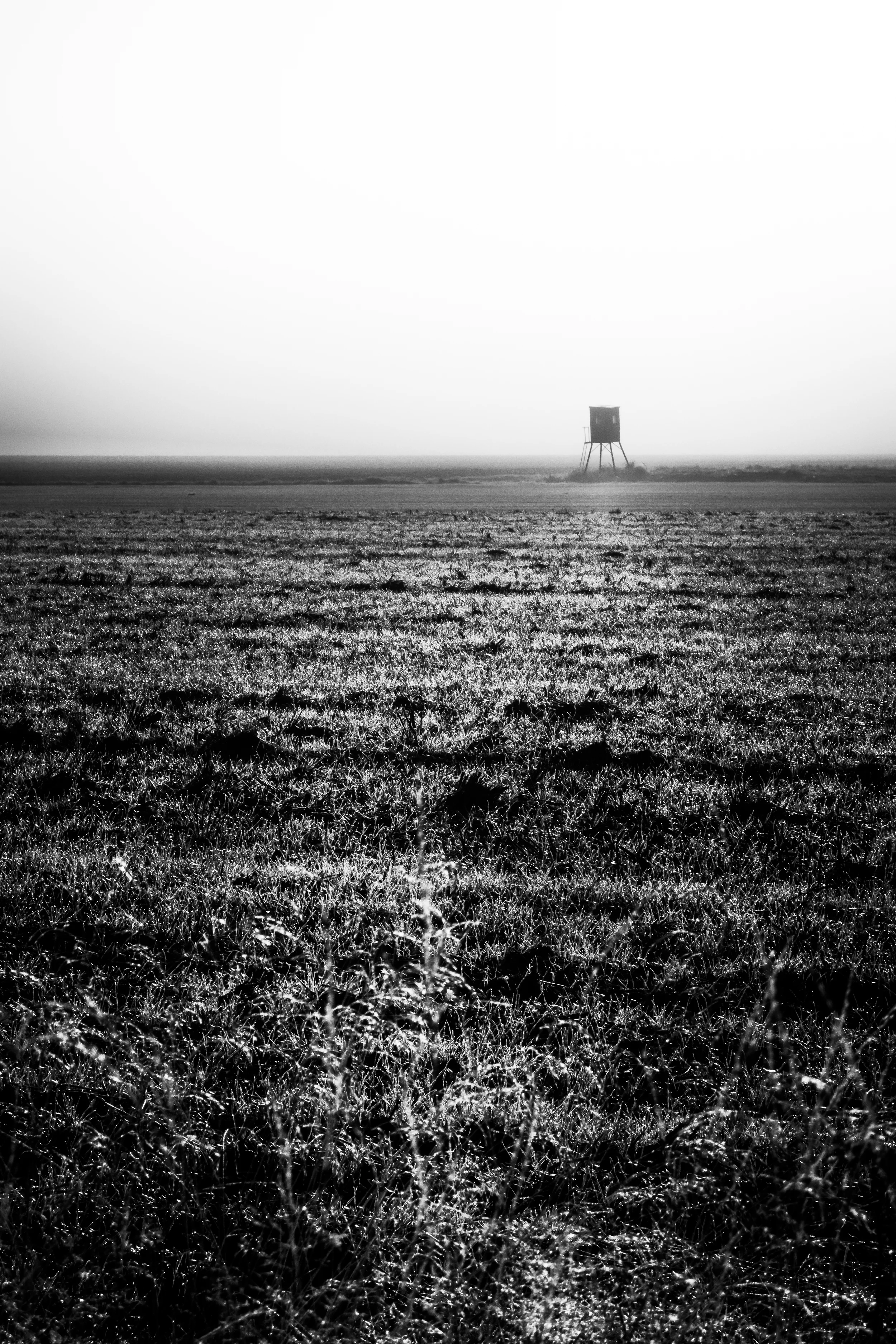 Felsen - Herzlake, Emsland