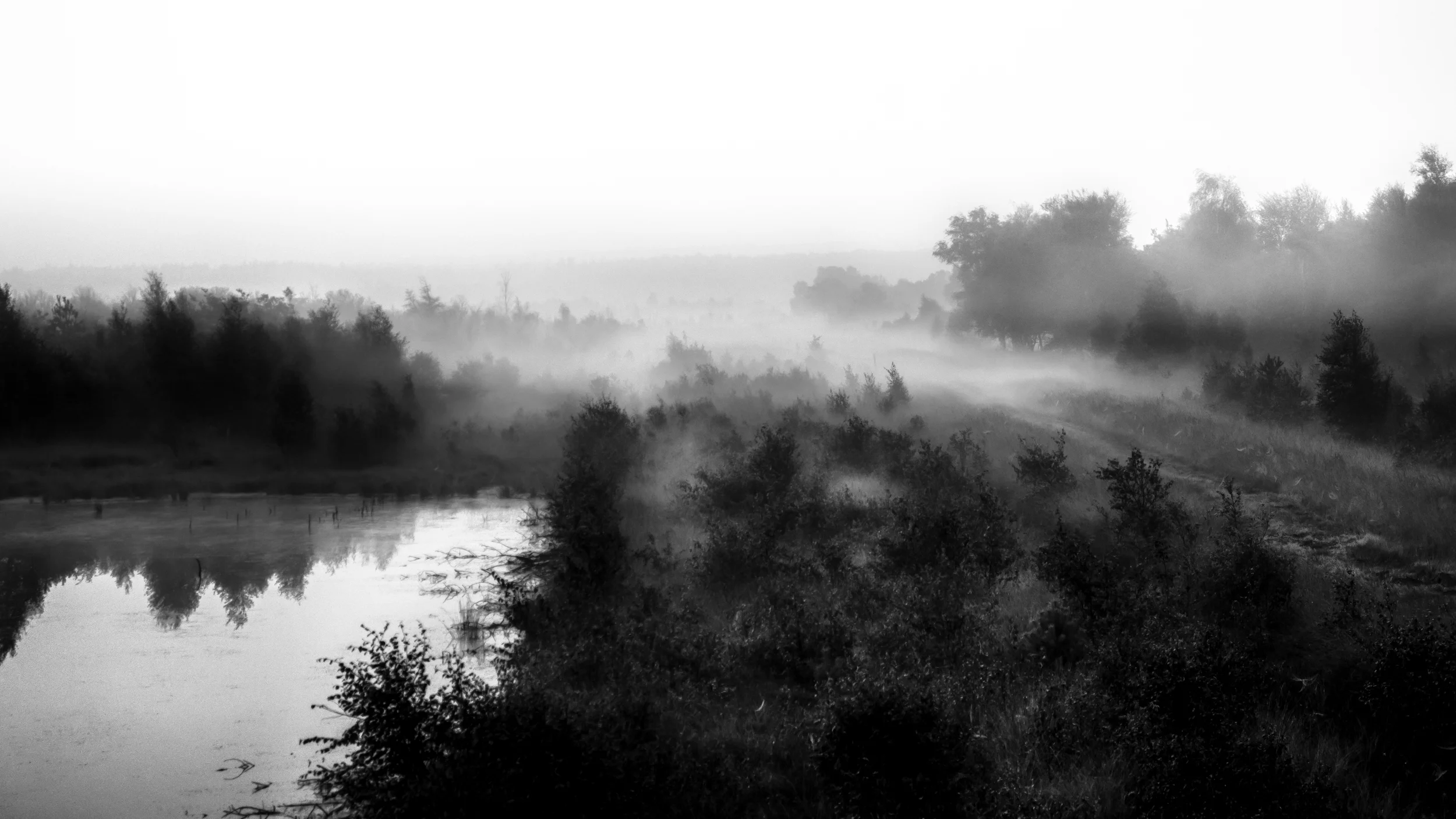 Hahnenmoor Dohren, Emsland