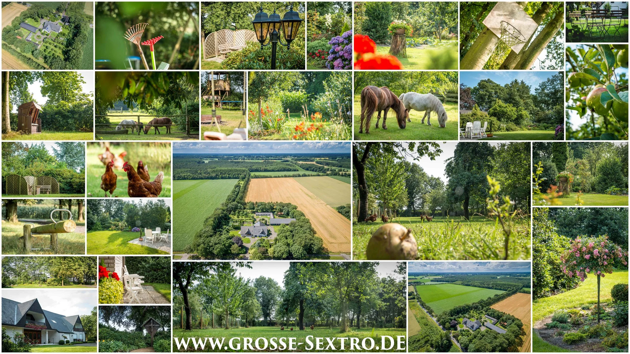 Große Sextro Postkarte.JPG