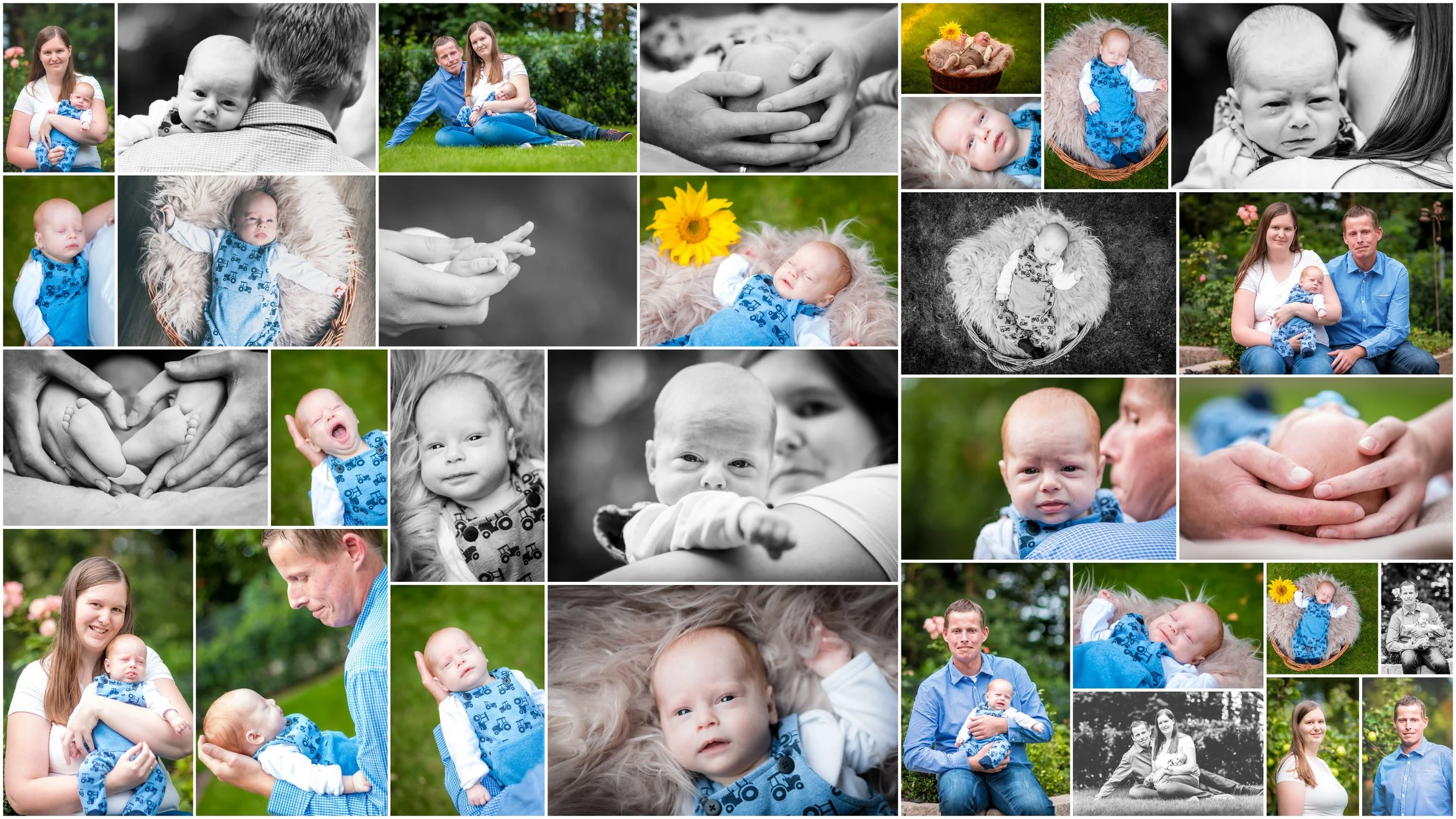 Emil Brookjans Collage.jpg