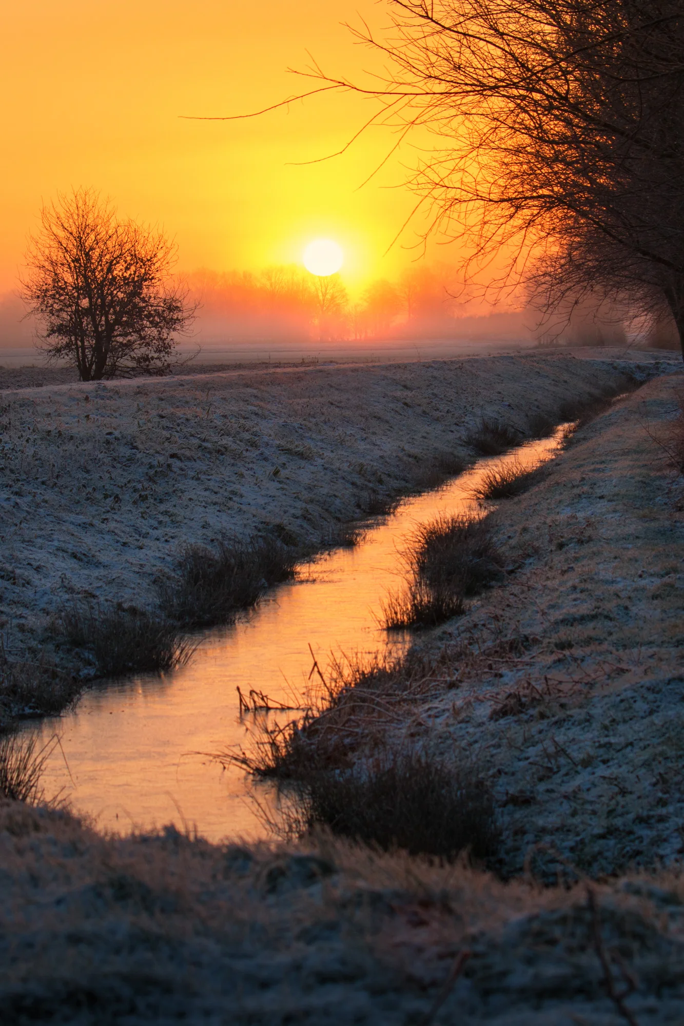 IMG_1021-Bearbeitet-Bearbeitet.JPG
