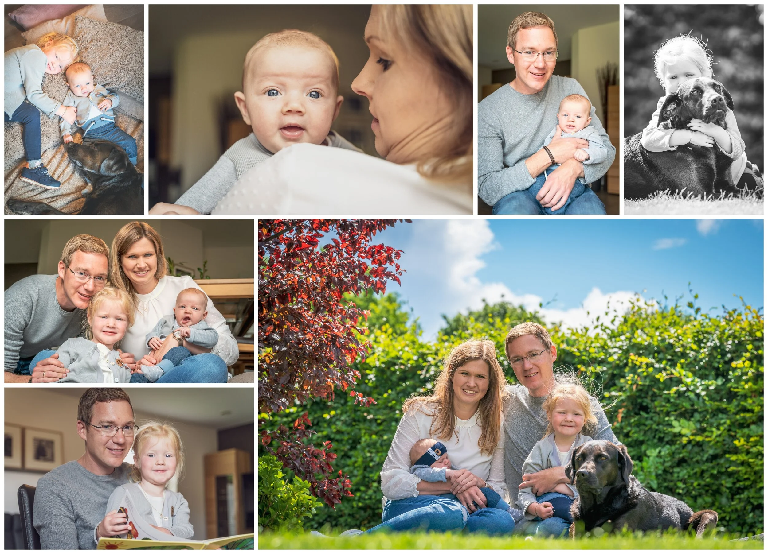 Collage 1.jpg