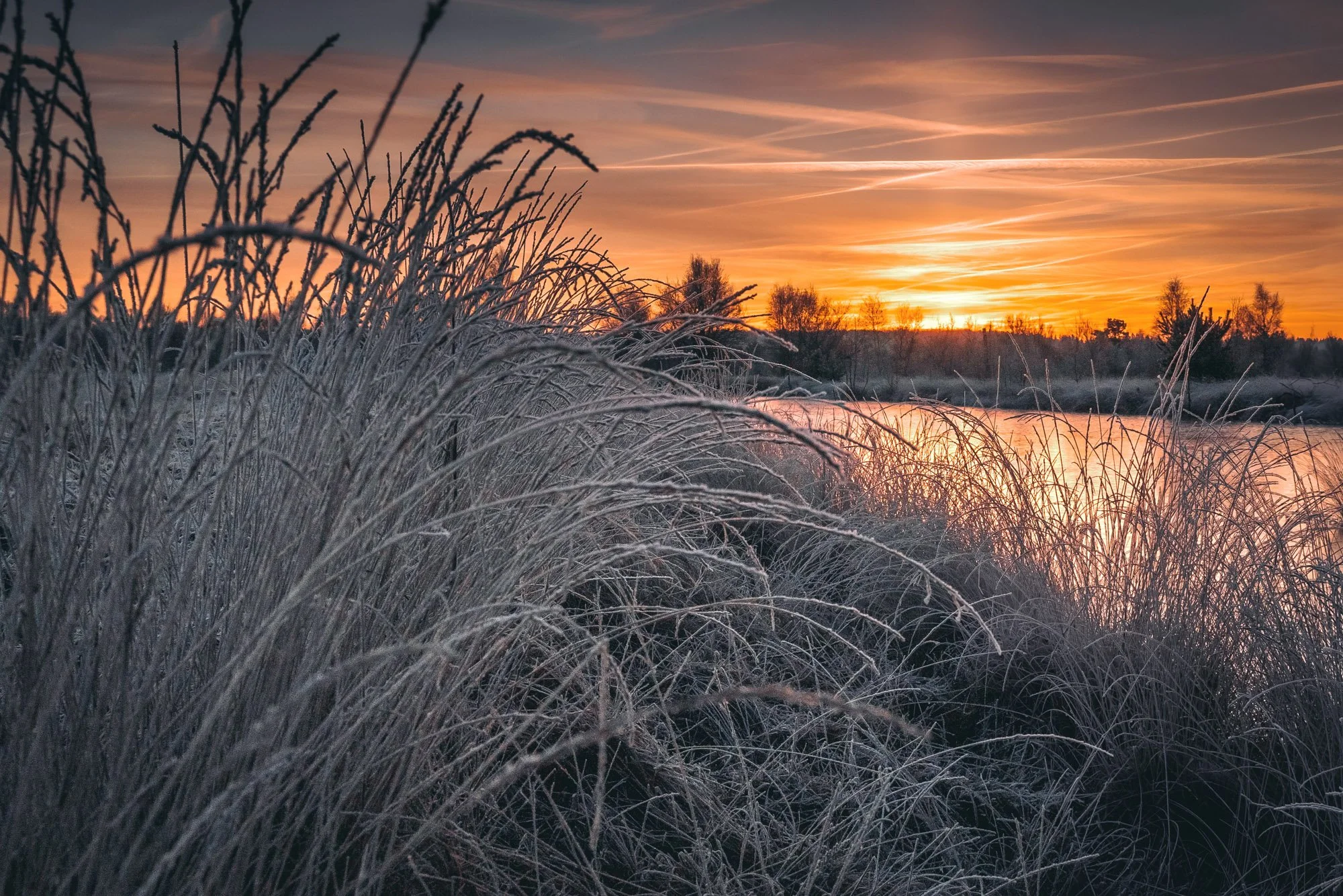 DSC05649-HDR.jpg