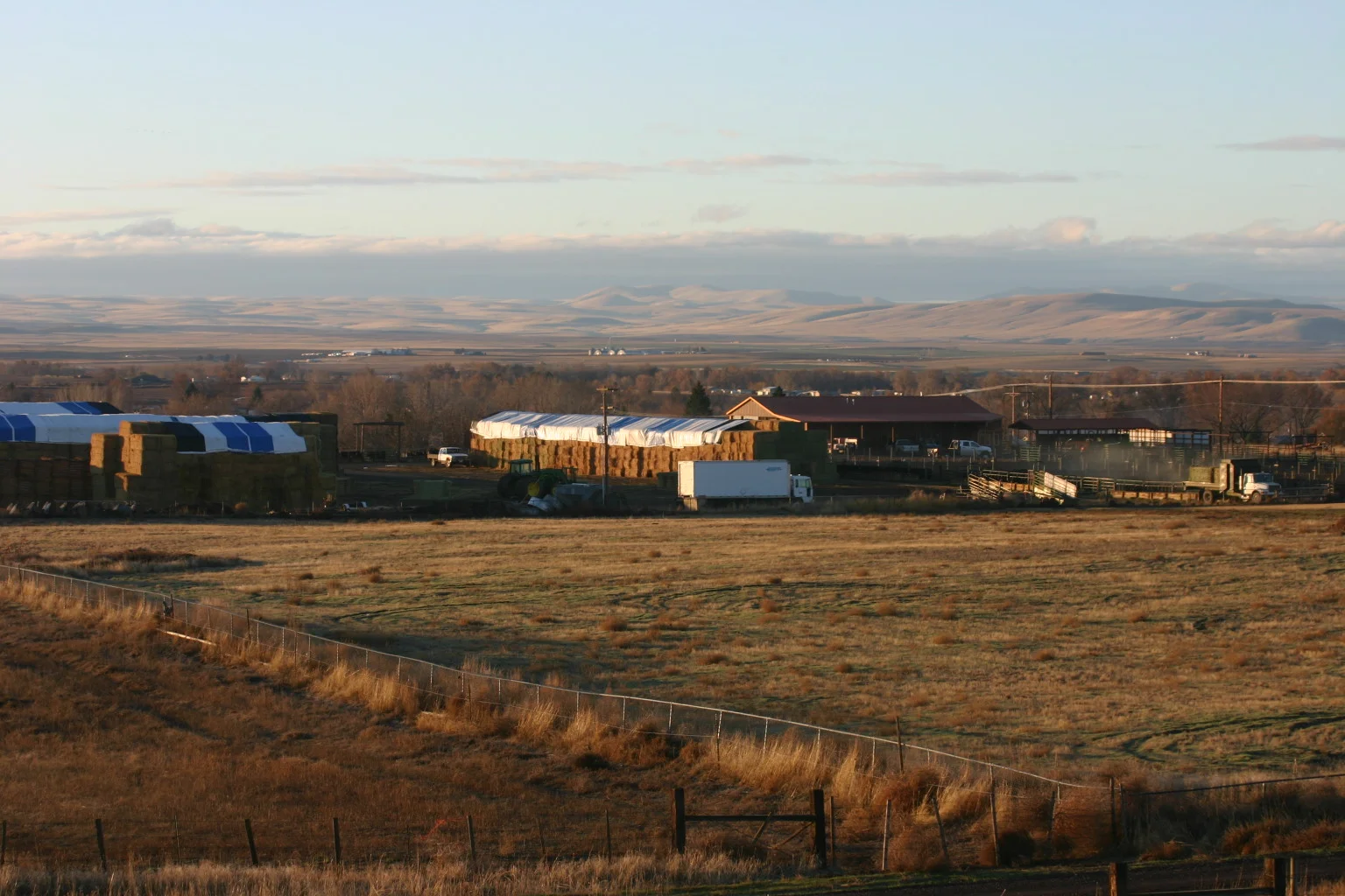 The 7UP Bull Development Center located in Stanfield, Oregon.