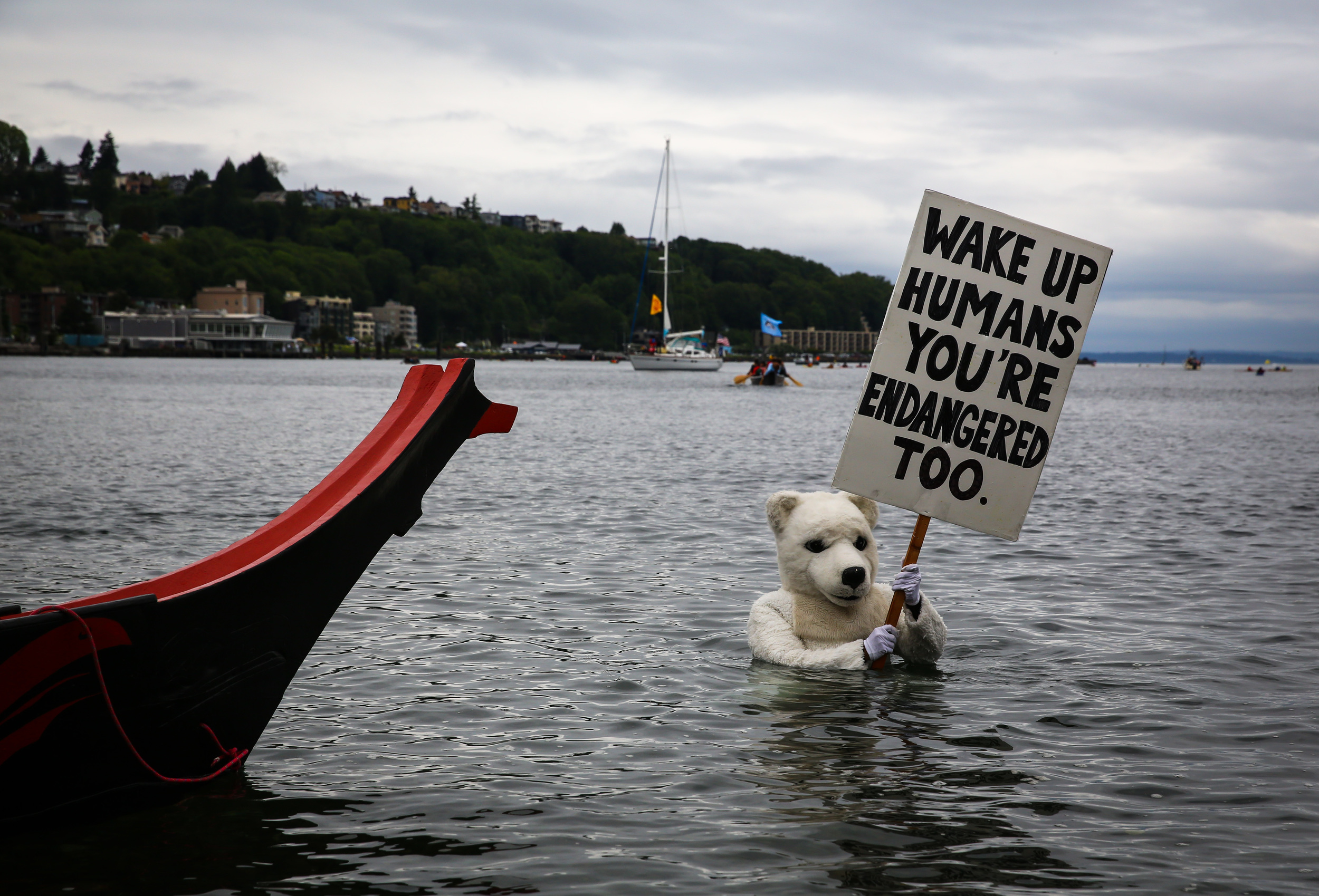   A person in a polar bear costume wades through the water during a protest against drilling in the Arctic and the Port of Seattle being used as a port for the Shell Oil drilling rig Polar Pioneer. The protest flotilla drew many paddlers to show thei