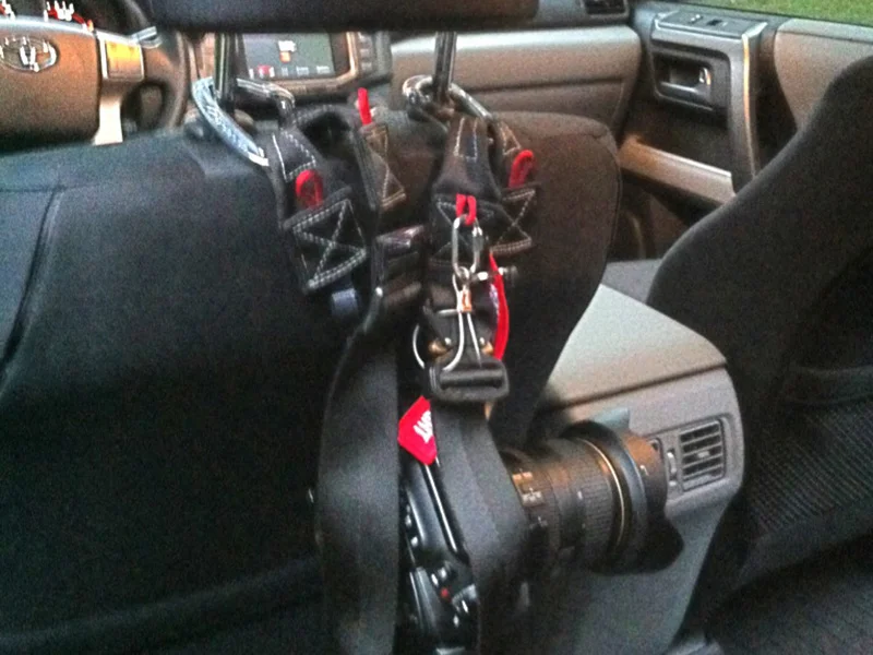 vulture_headrest_rigging.jpg