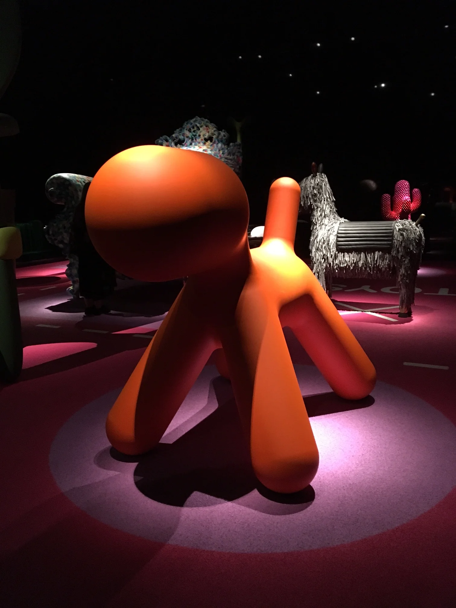 Photo by Lora Appleton.