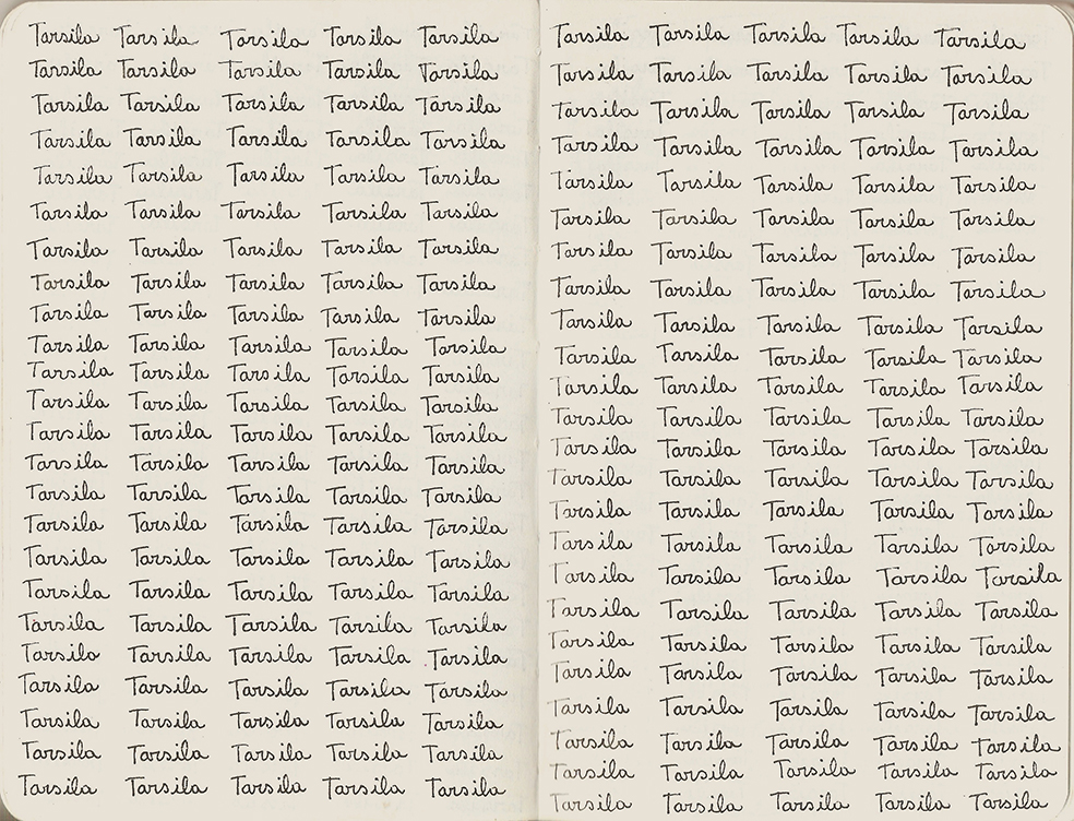 TARSILA 29