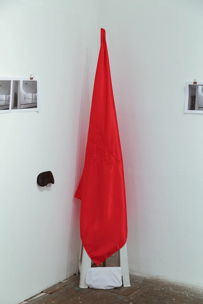 INTITUTION'S FLAG Red Cetim with red embroidery 2014