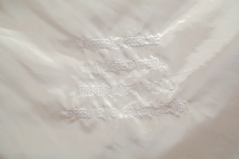 DETAIL ARTIST'S FLAG “This carries the weight of eleven years of interna- tional career and resume my life project”. 