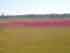 the lovely marsh_thumb.jpg