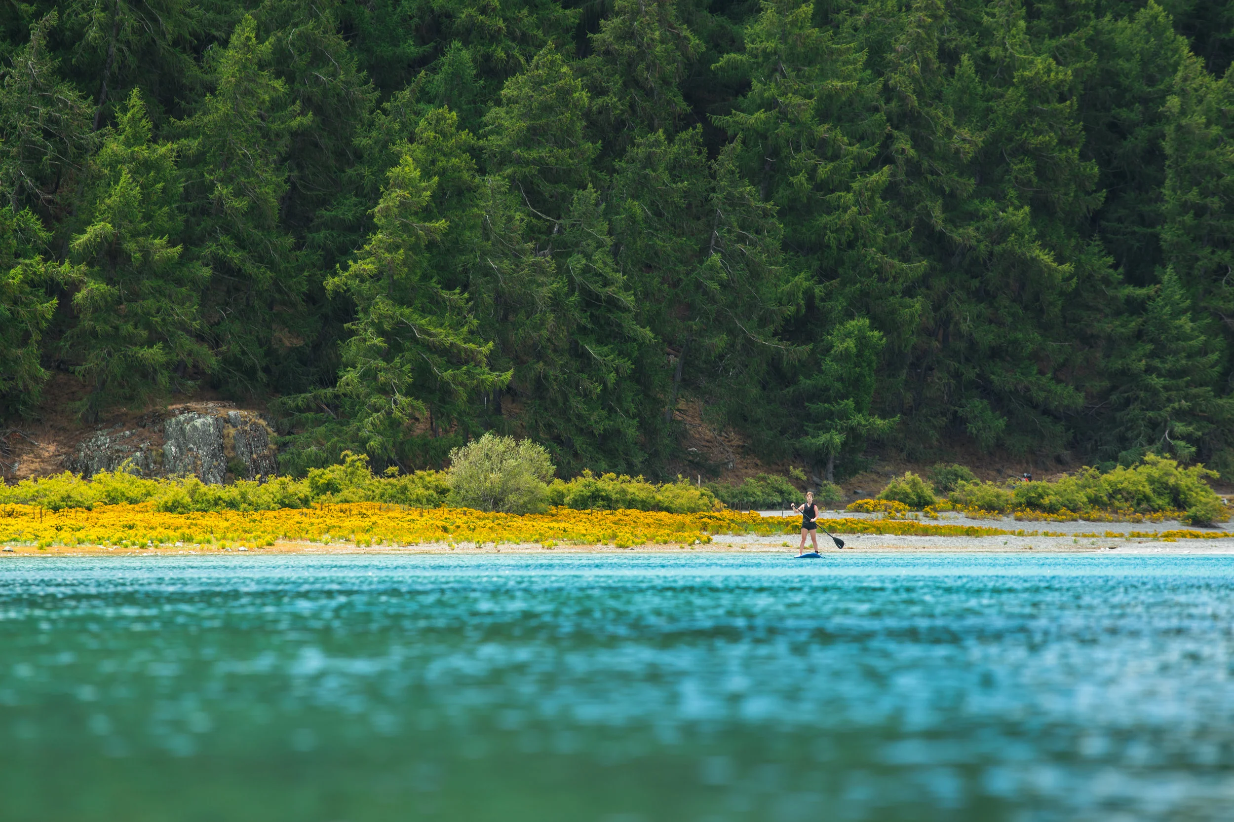 PaddleBlog-3.jpg