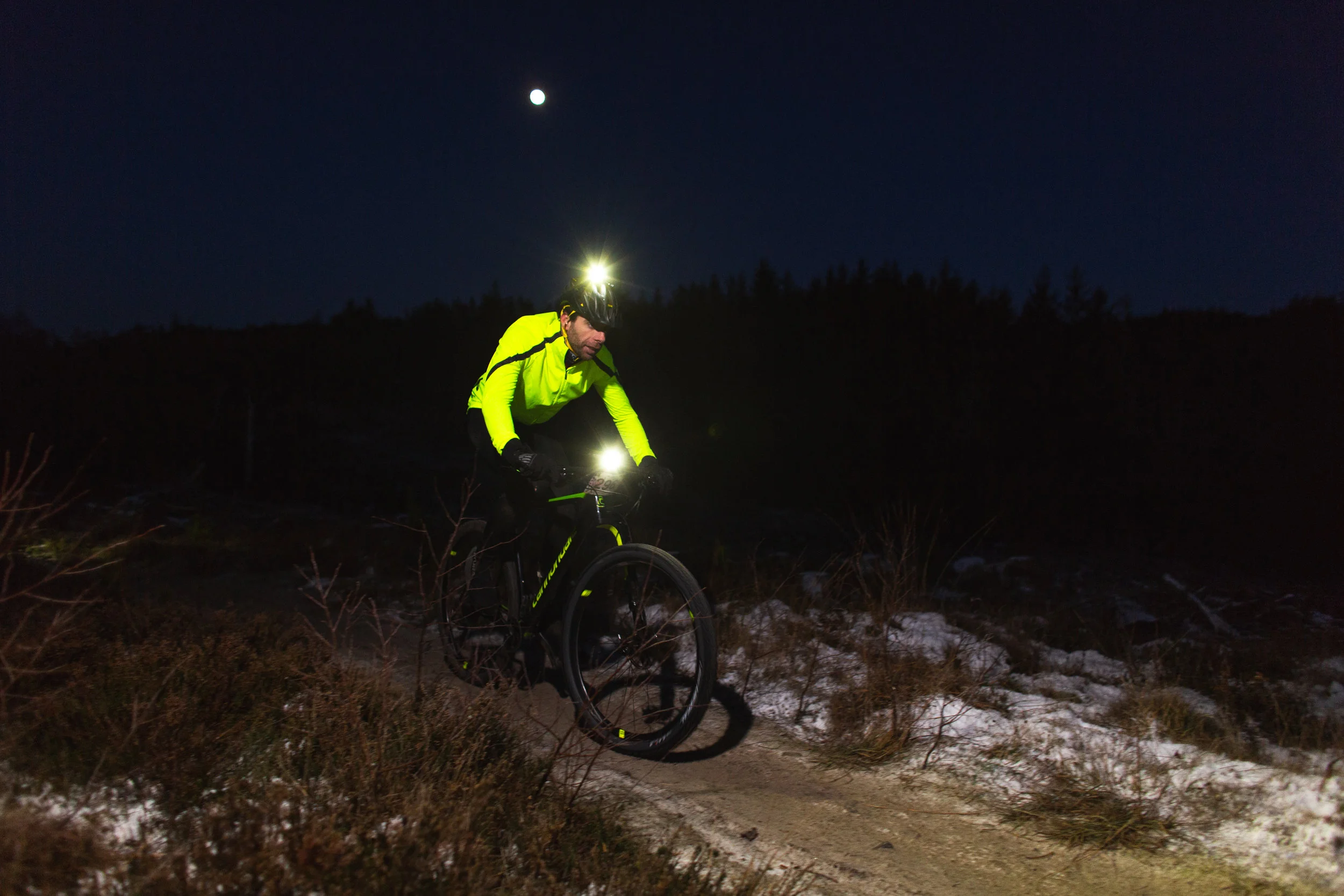 Puffer2019LR-30.jpg