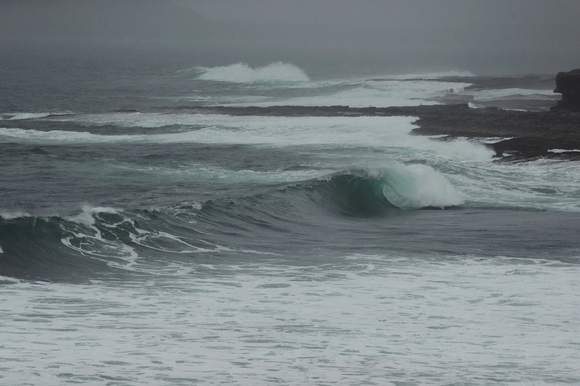 SurfBru-49.jpg