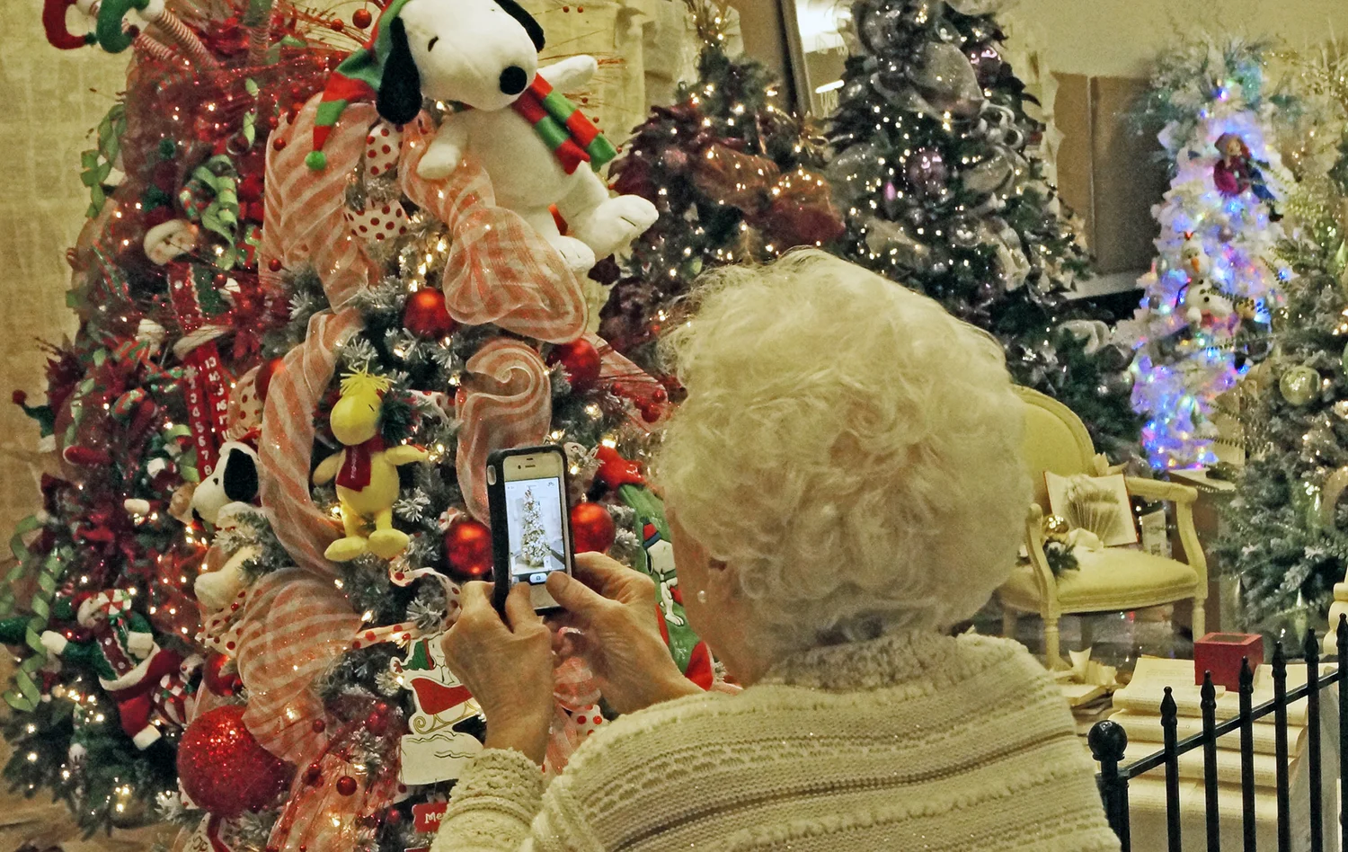 Christmas Tree Lane open at Promenade Temecula — HABITAT FOR HUMANITY INLAND VALLEY