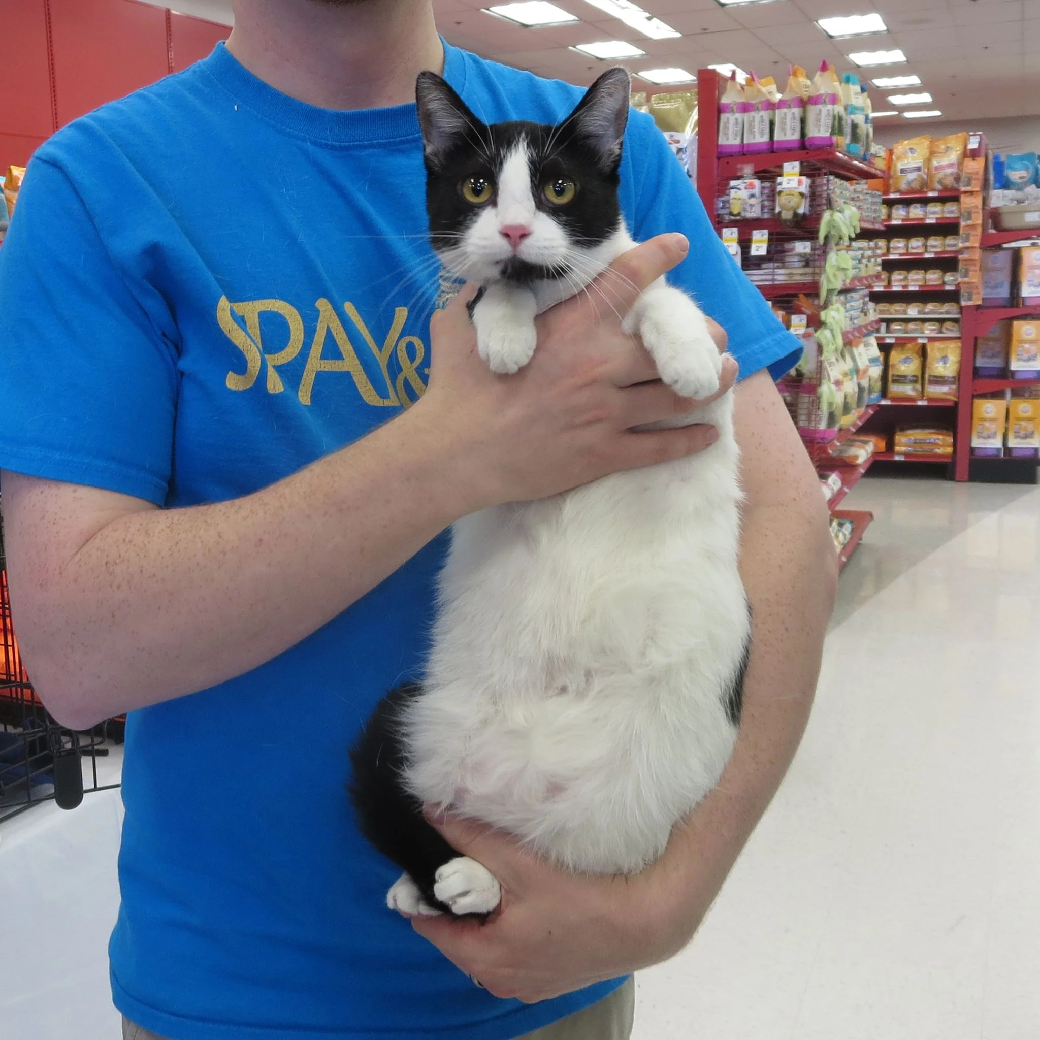 A fully-recovered Shelly visited one of our adoption events.