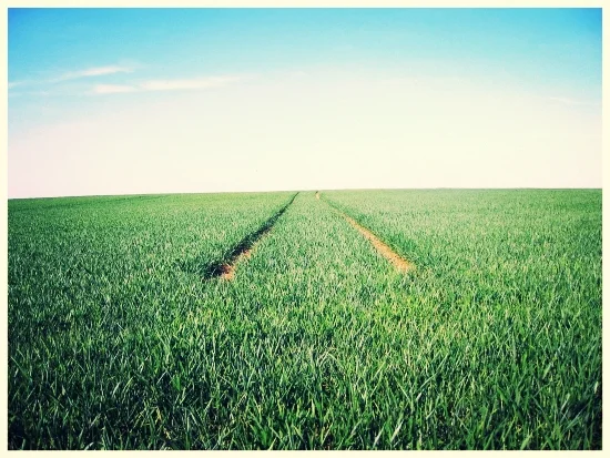 The Head, the Heart and the Ongoing Difficulty with the GMO Debate