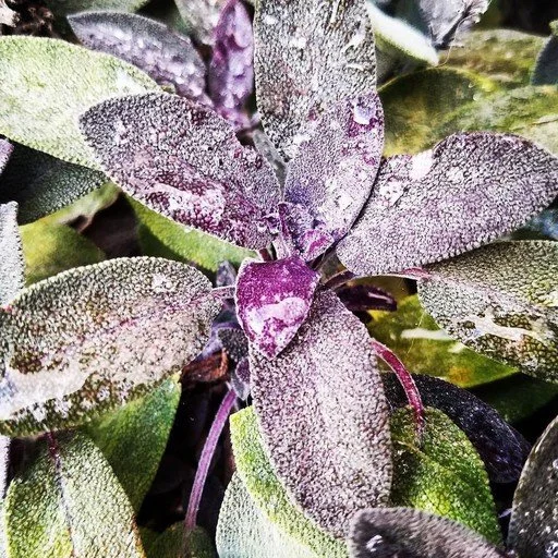 Lantern Brewing | November Updates