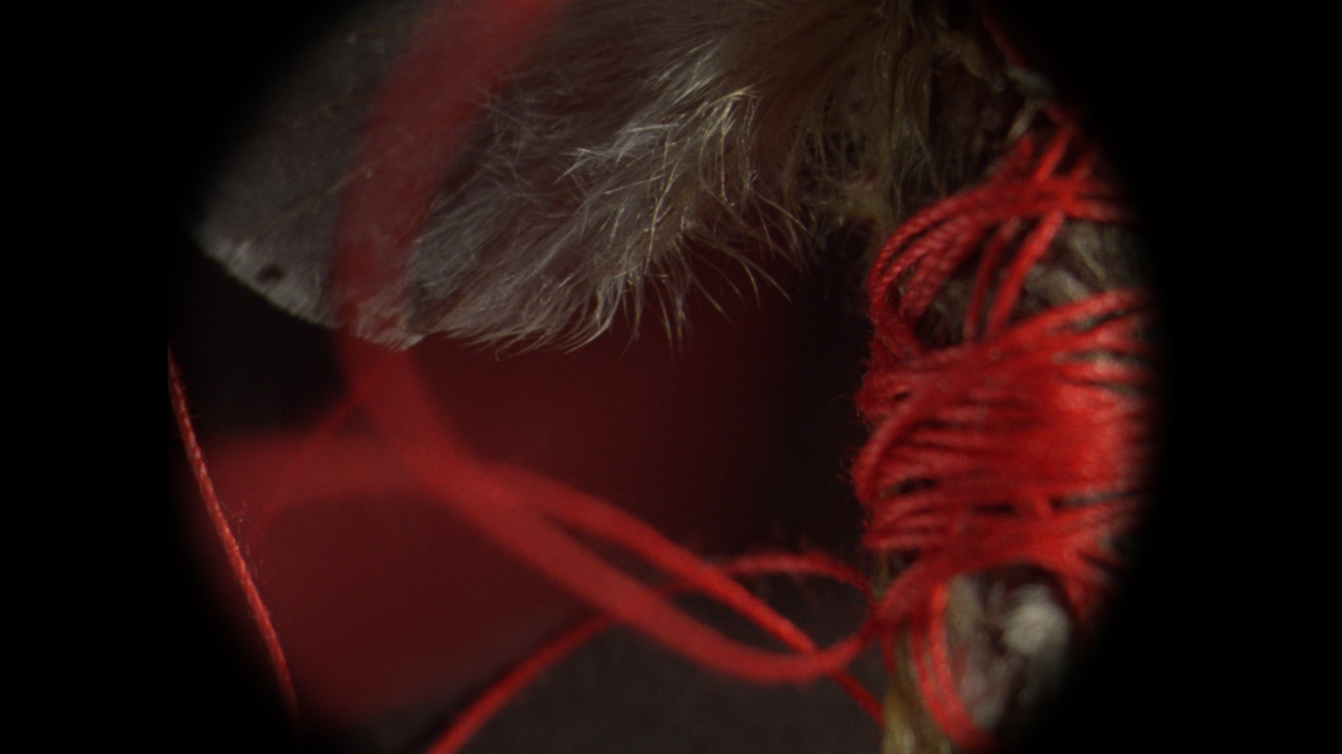 Waterhouse 16mm film still