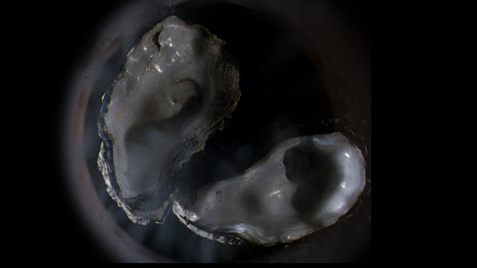 Waterhouse 16mm film still