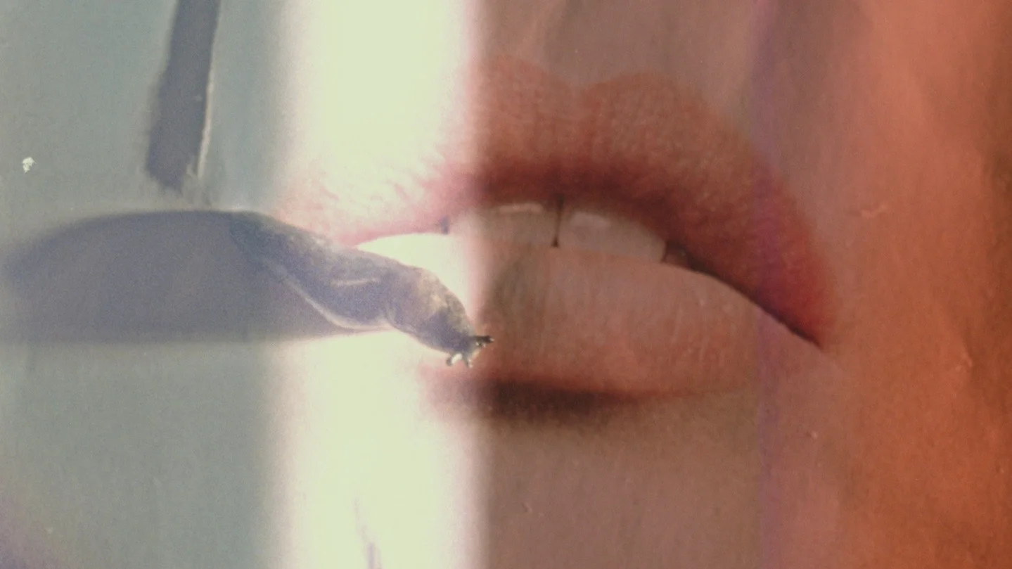 The Landscape A single screen 16mm film exploring landscapes. Screened as part of Lu Williams’ Grrrl Zine Library Installation at A Woman With A Movie Camera Summit , BFI June 2018.
