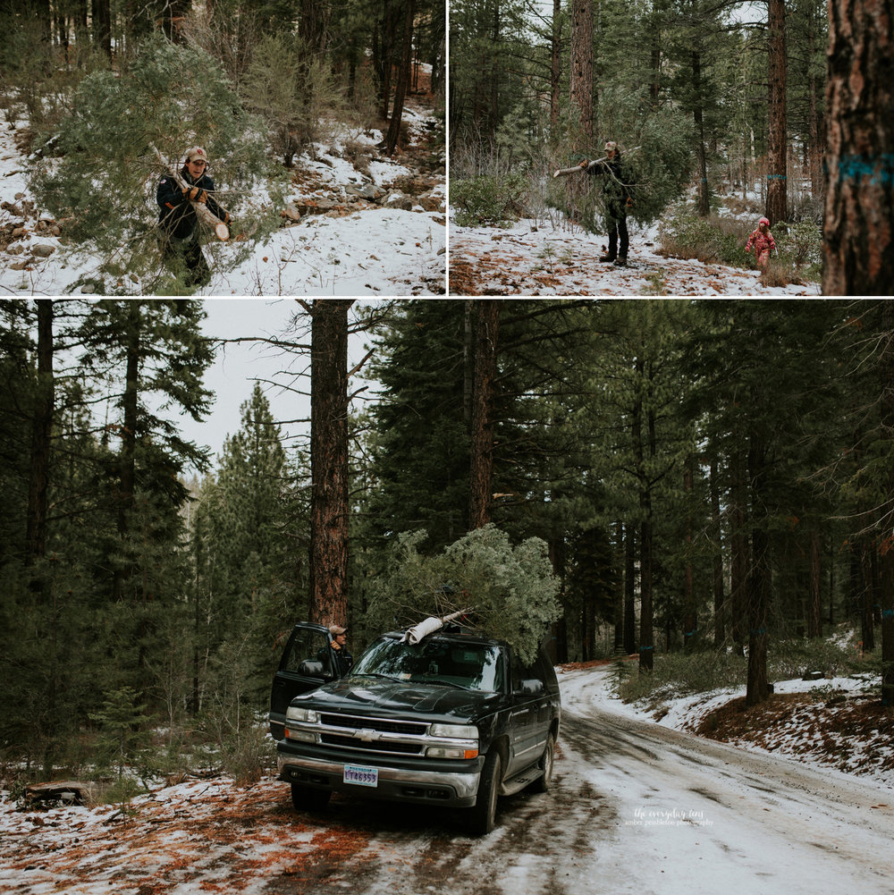 christmas-tree-cutting-tahoe-forest.jpg