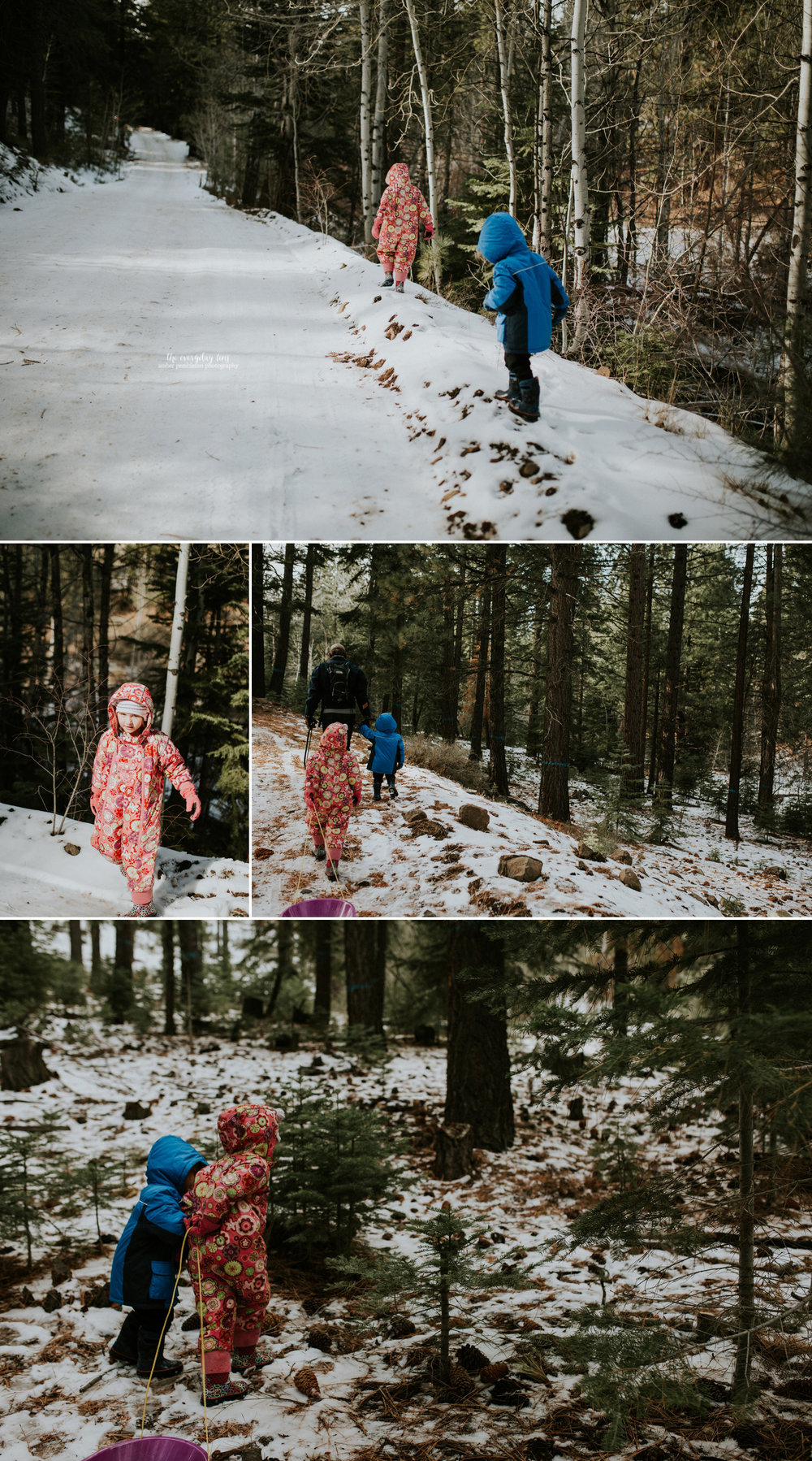 kids-with-sled-tahoe-forest.jpg