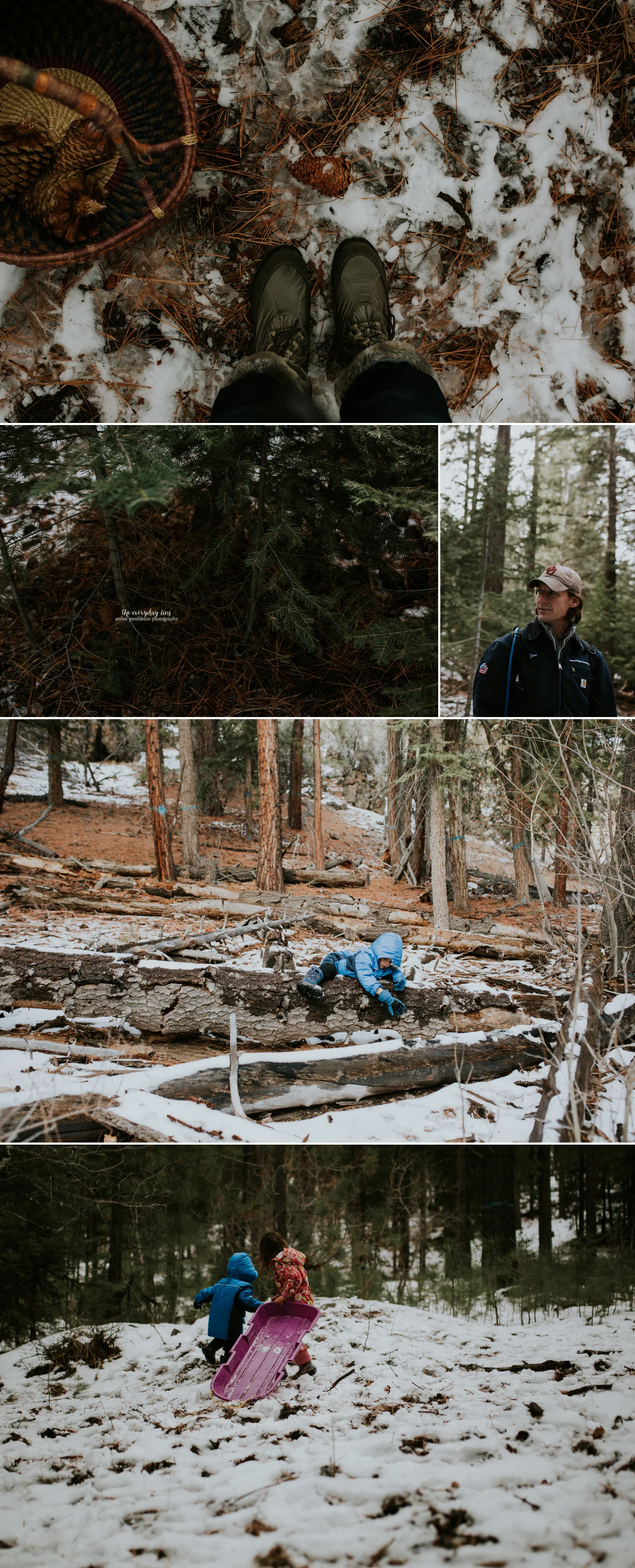 snowy-hike-tahoe-forest.jpg