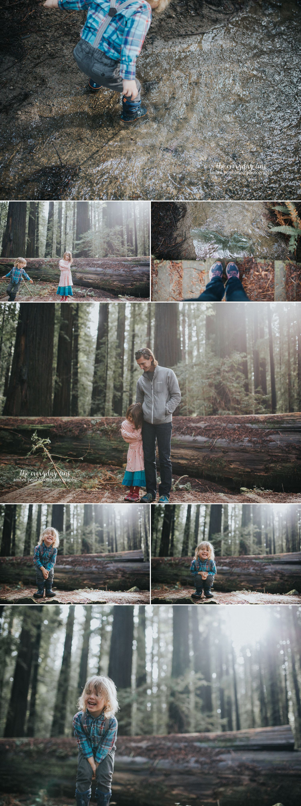 family-hiking-trip-redwoods.jpg