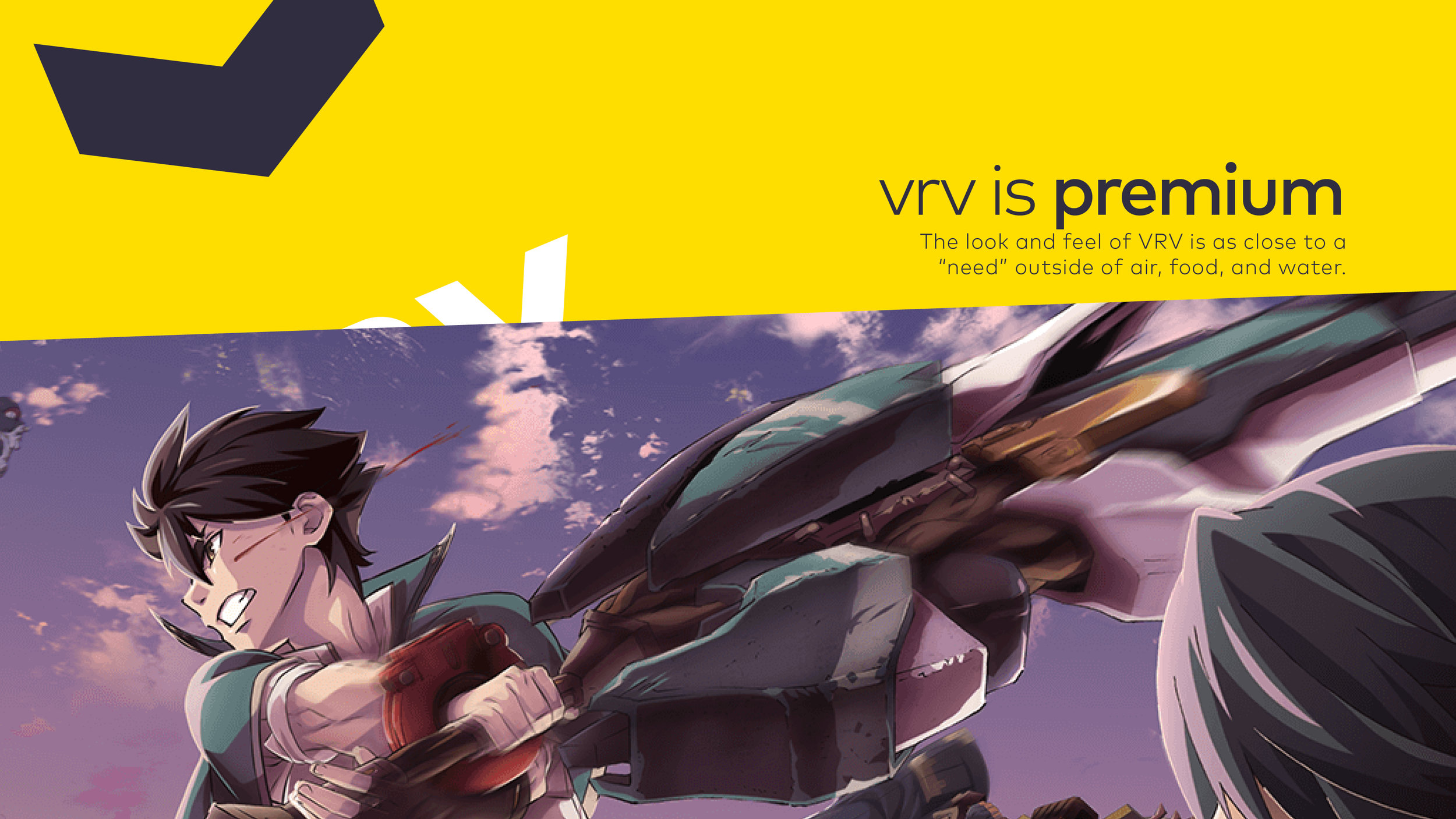 VRV_BrandBook_Alpha1_Deck_16x95.jpg