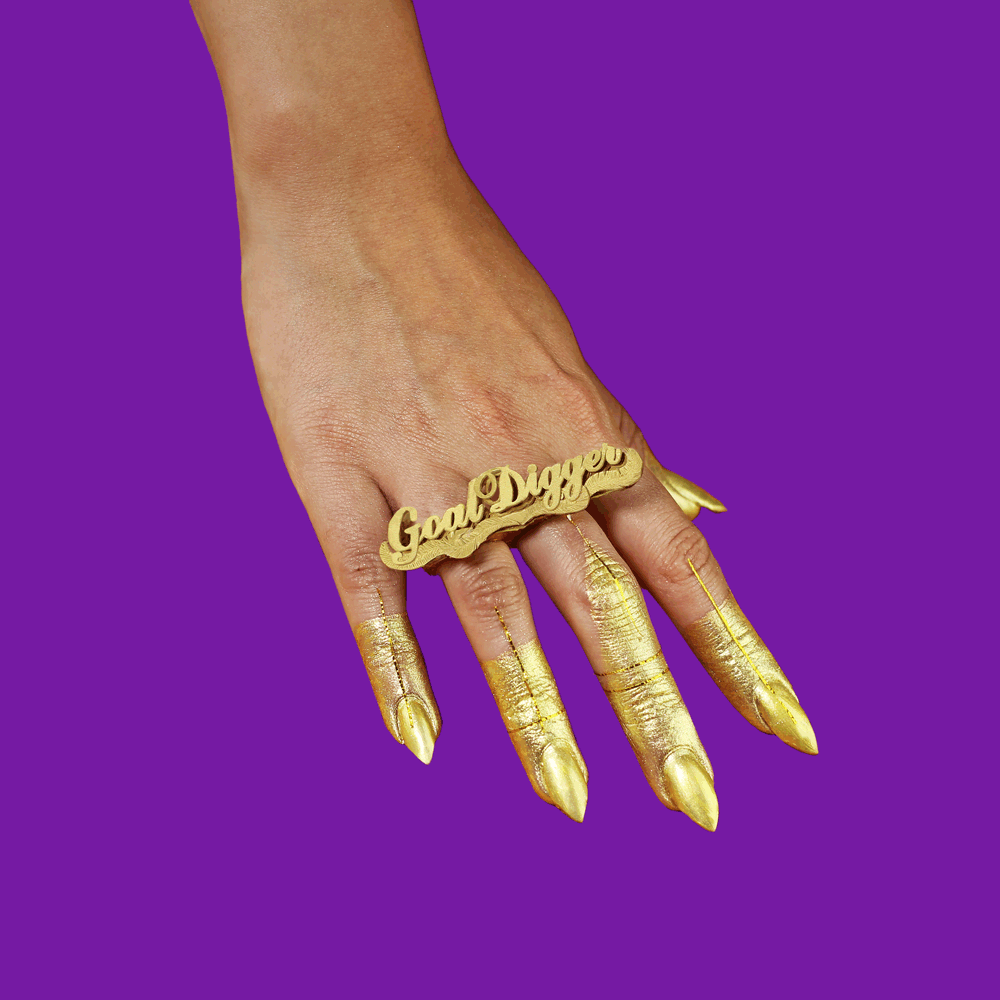 LWD_GoalDigger_Purple_NicoleLicht.gif