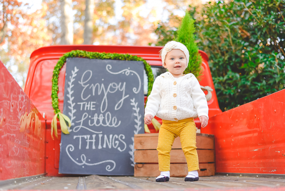 Christmasminis_web-7.jpg