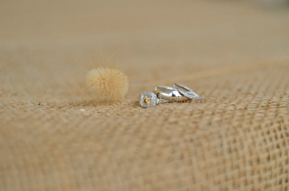 website_weddings-69.jpg
