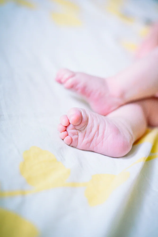 website_newbornmaternity-72.jpg