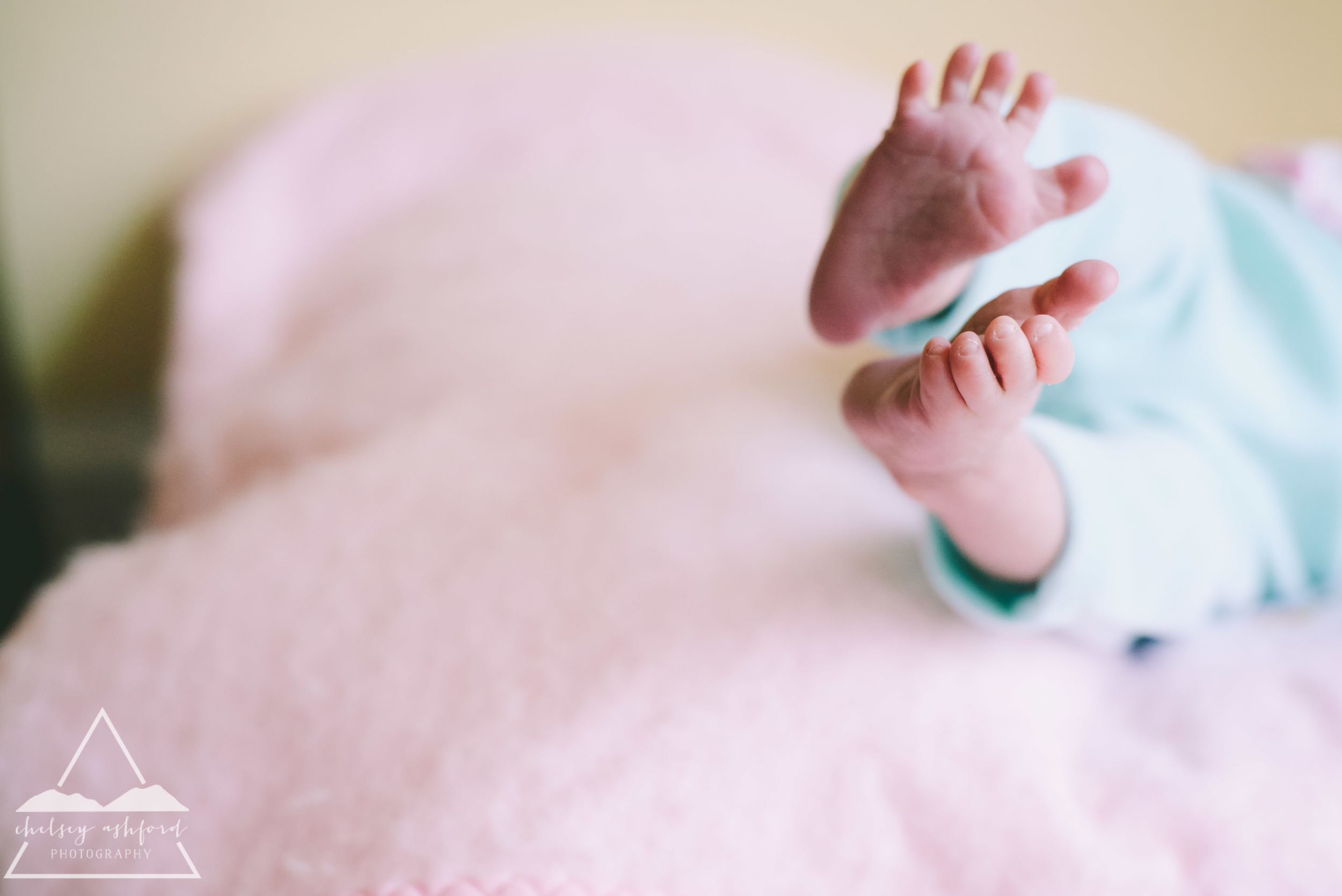 http://www.cmaphoto.co/blog/2015/2/19/della-newborn
