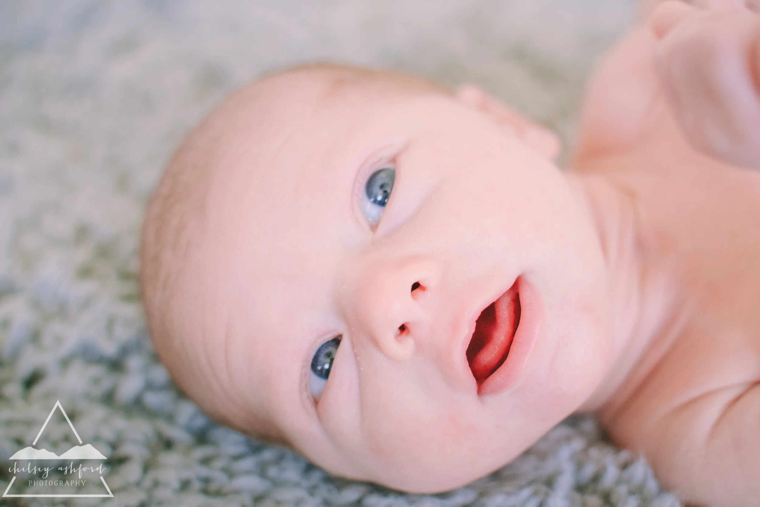 Lifestyle Newborn Session // Chelsey Ashford Photography 2015