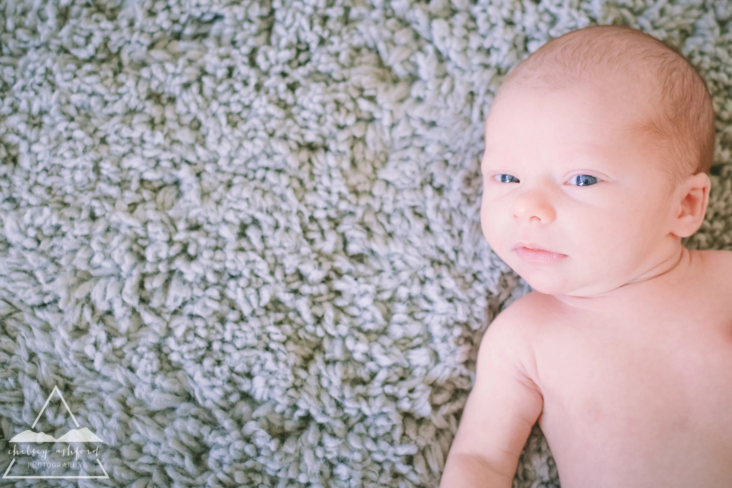 Lifestyle Newborn Session // Chelsey Ashford Photography 2015